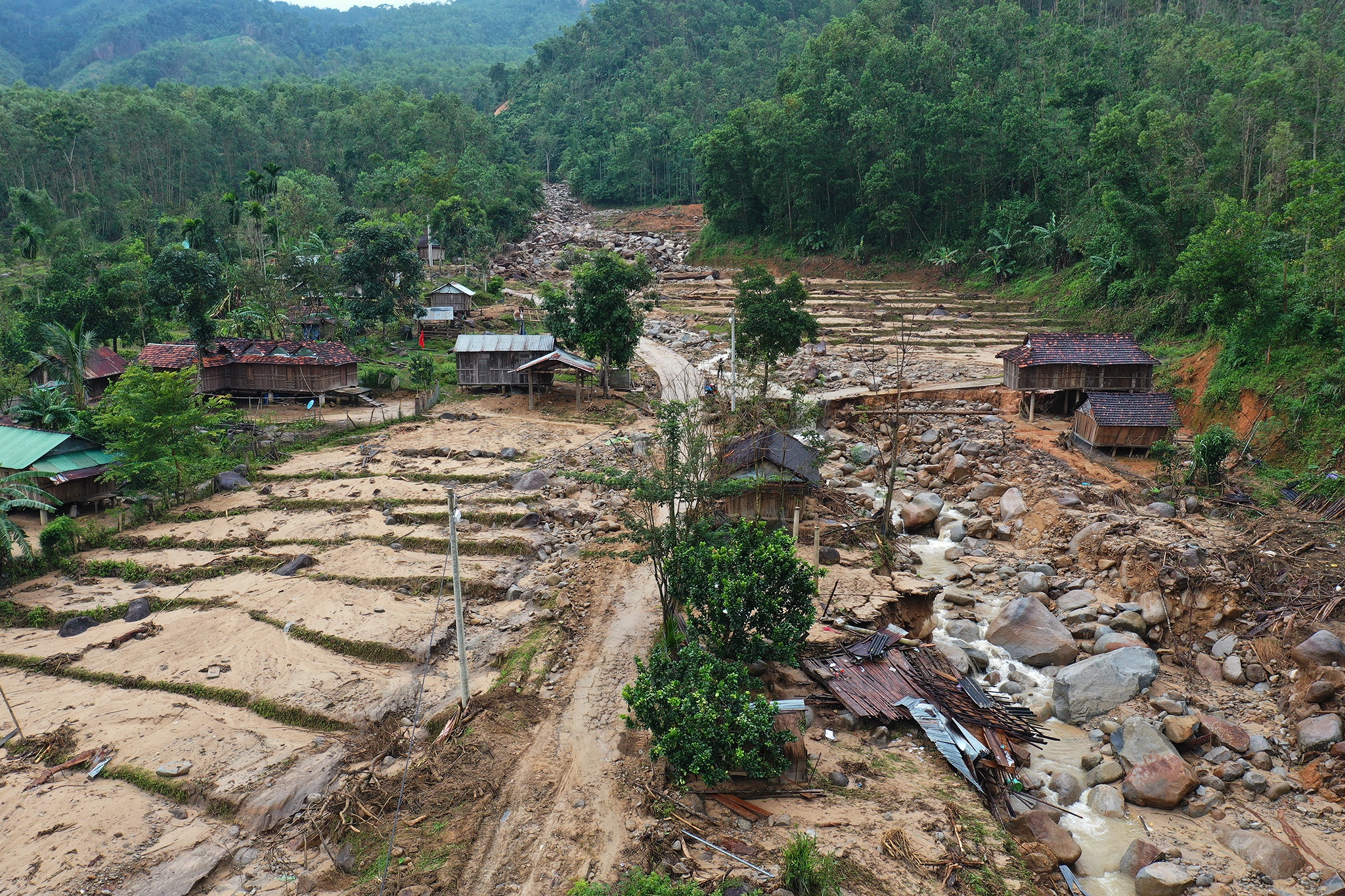 dan Mang He thap thom don bao so 10 anh 1