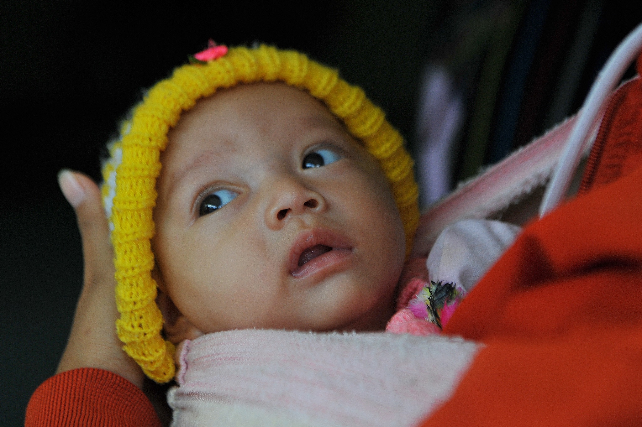 Dan Quang Ngai tranh tru bao so 10 anh 2