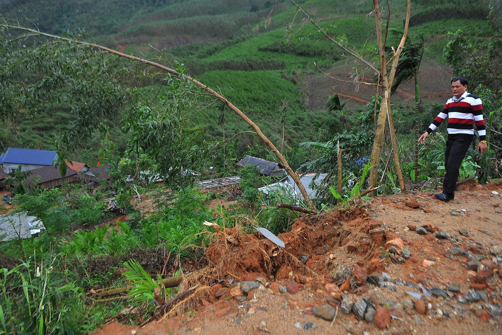 Dan Quang Ngai tranh tru bao so 10 anh 5