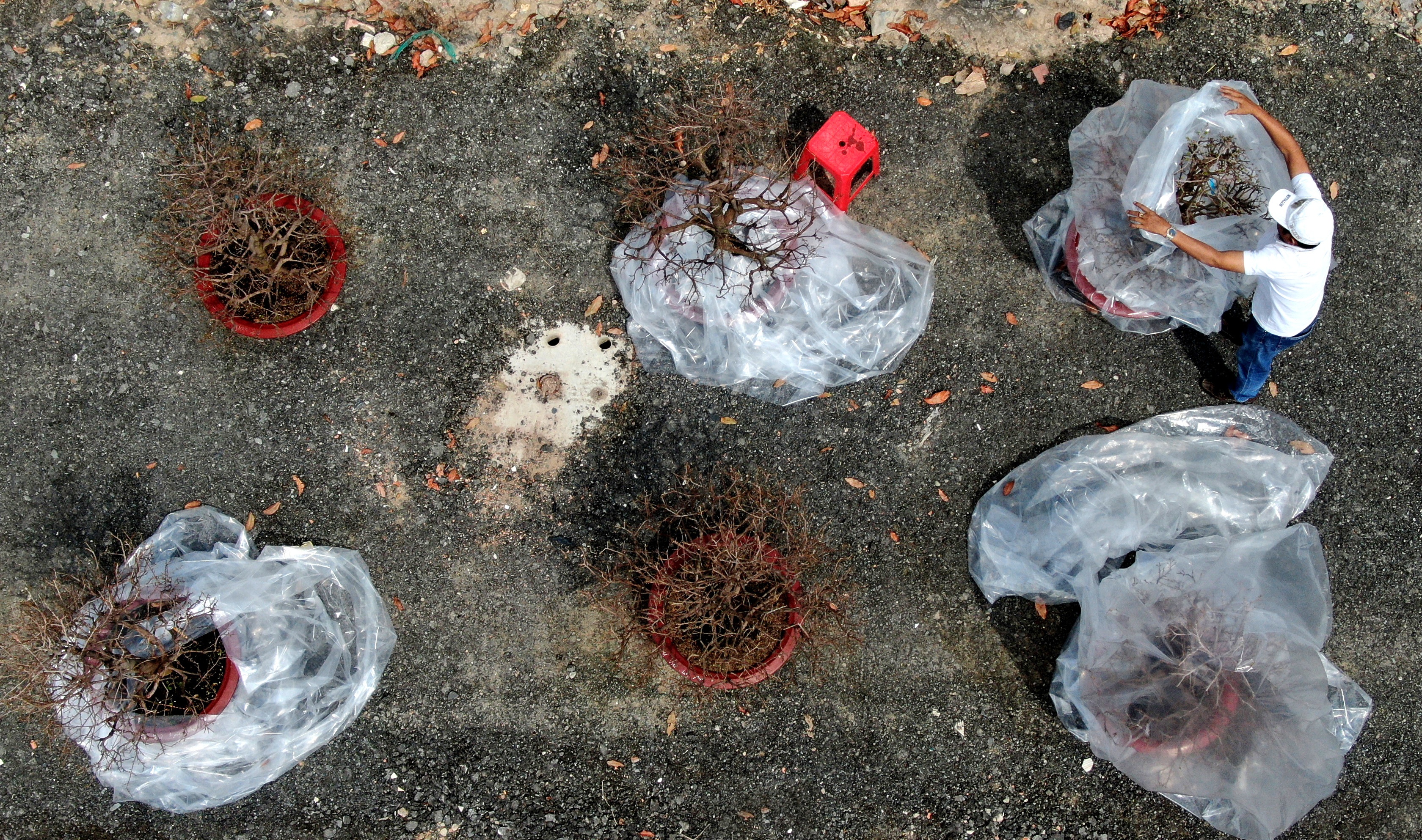 Mai Thu Duc no som anh 5