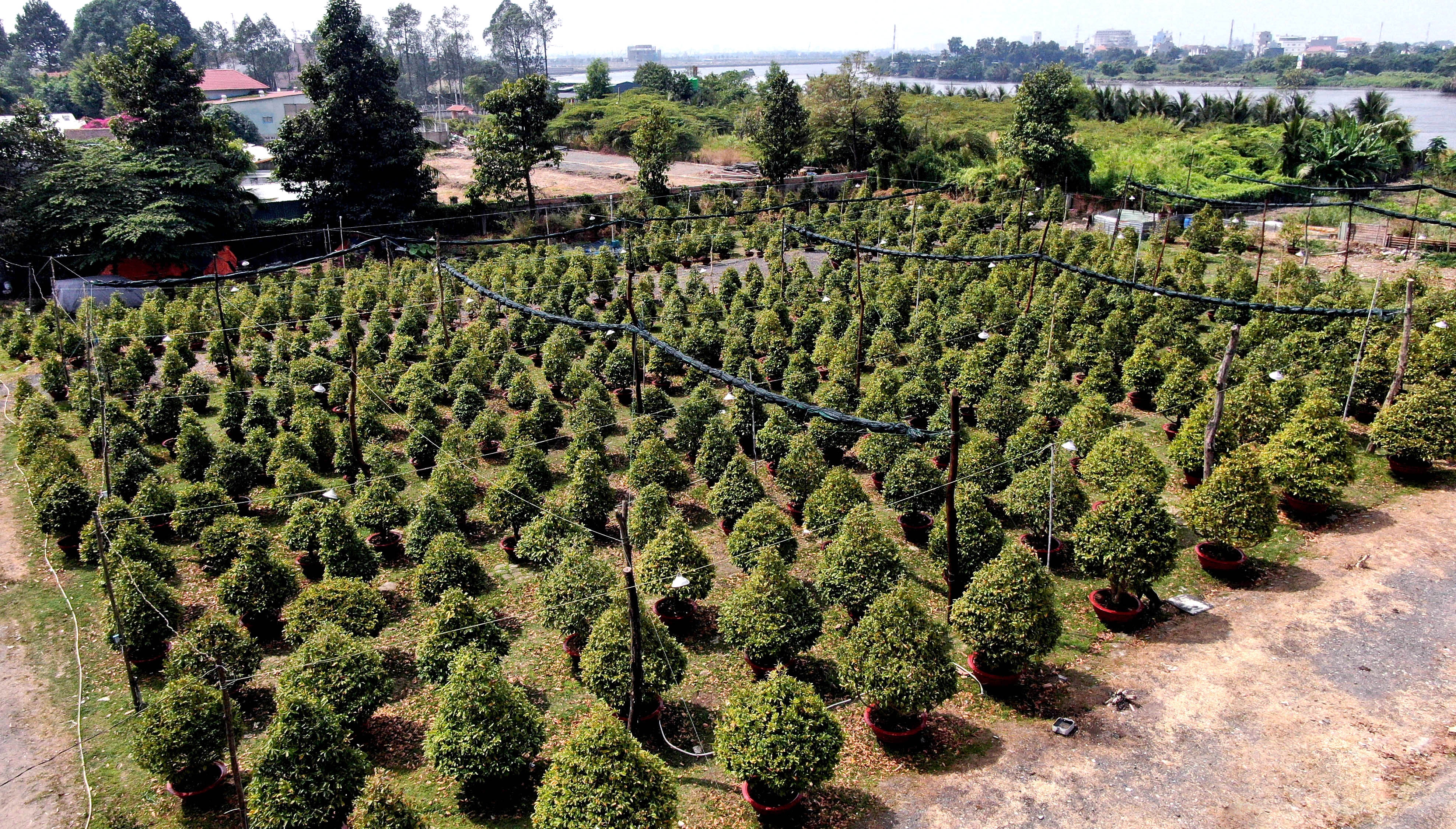 Mai Thu Duc no som anh 9