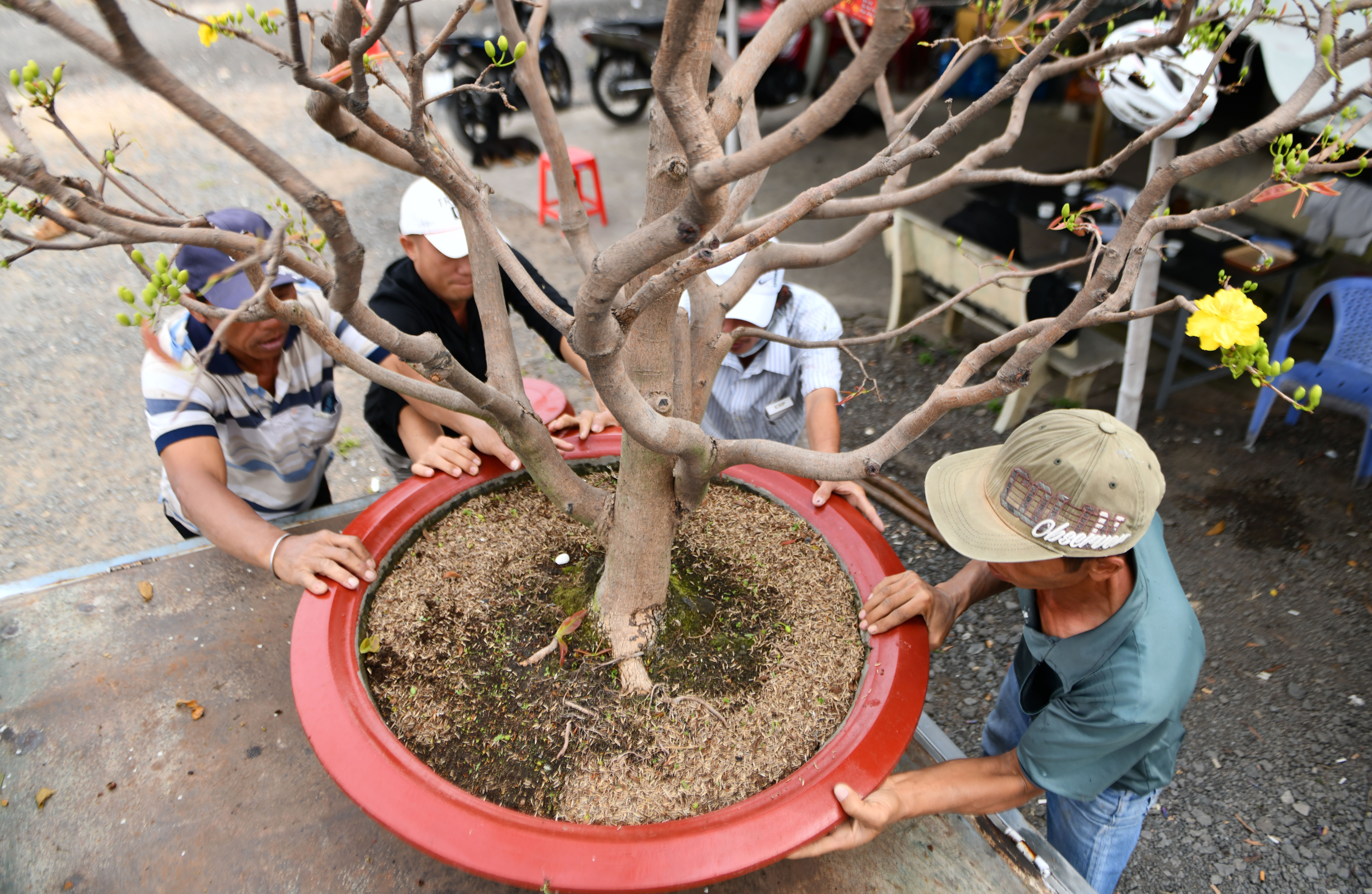 Mai Thu Duc no som anh 6