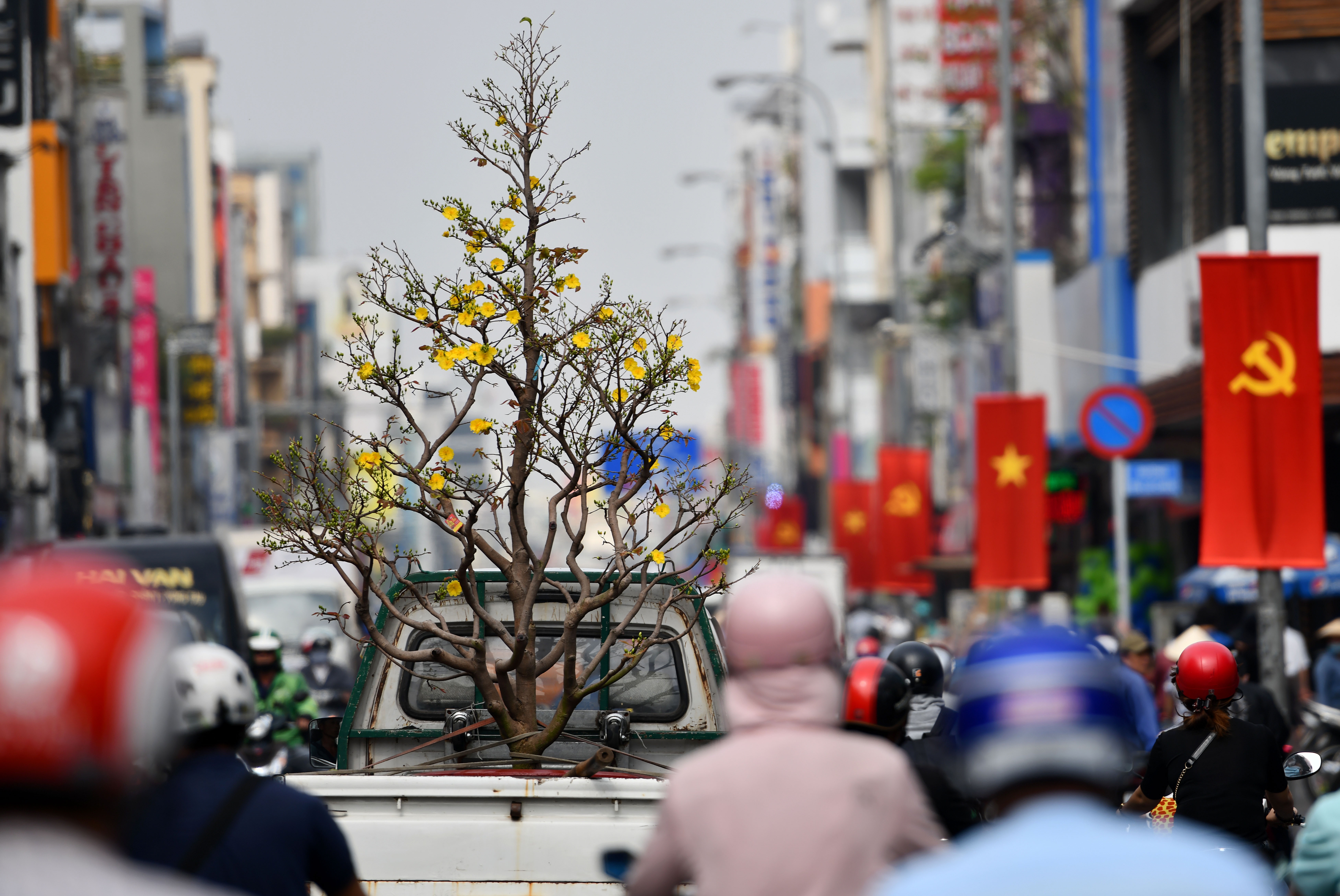 Mai Thu Duc no som anh 7