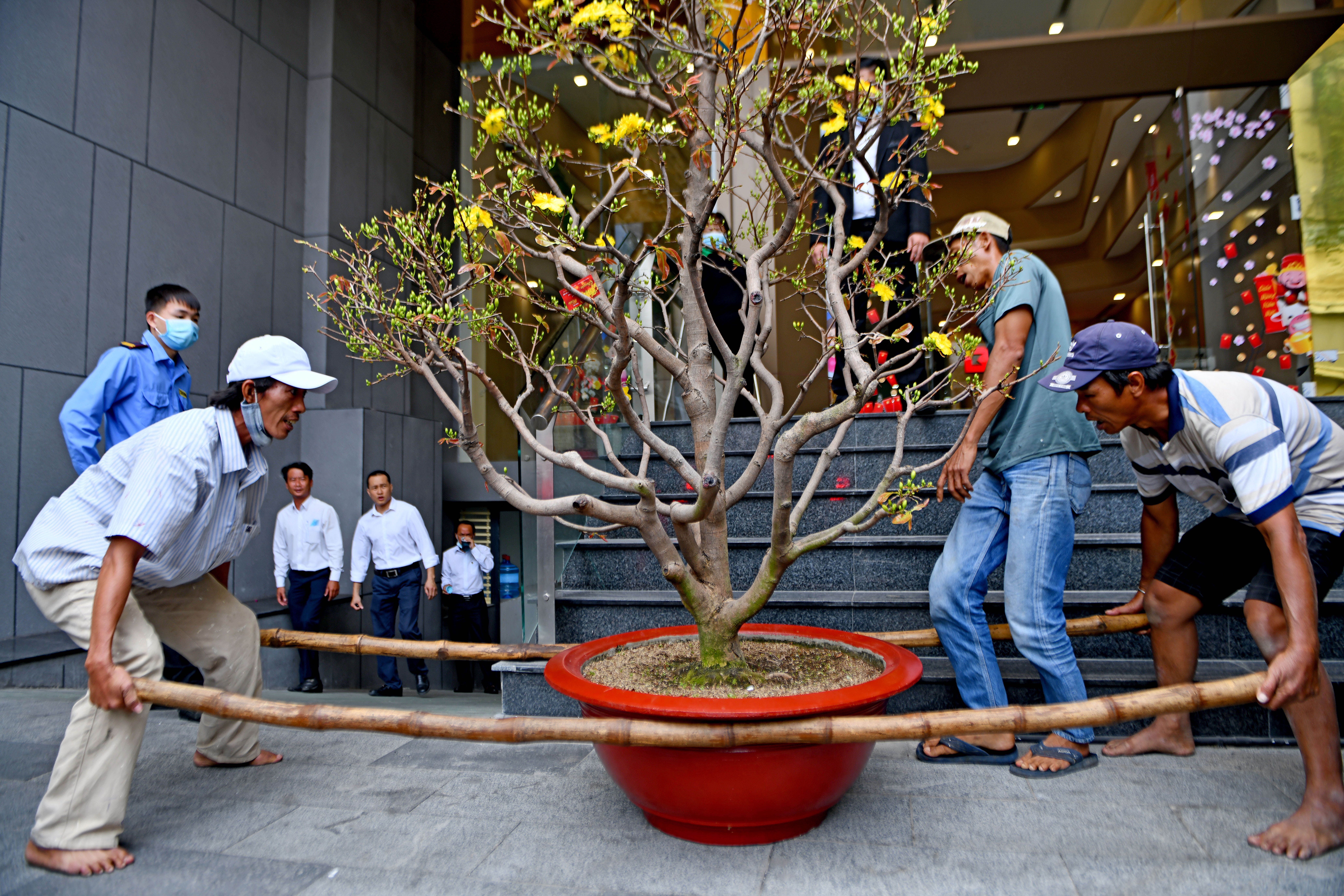 Mai Thu Duc no som anh 8