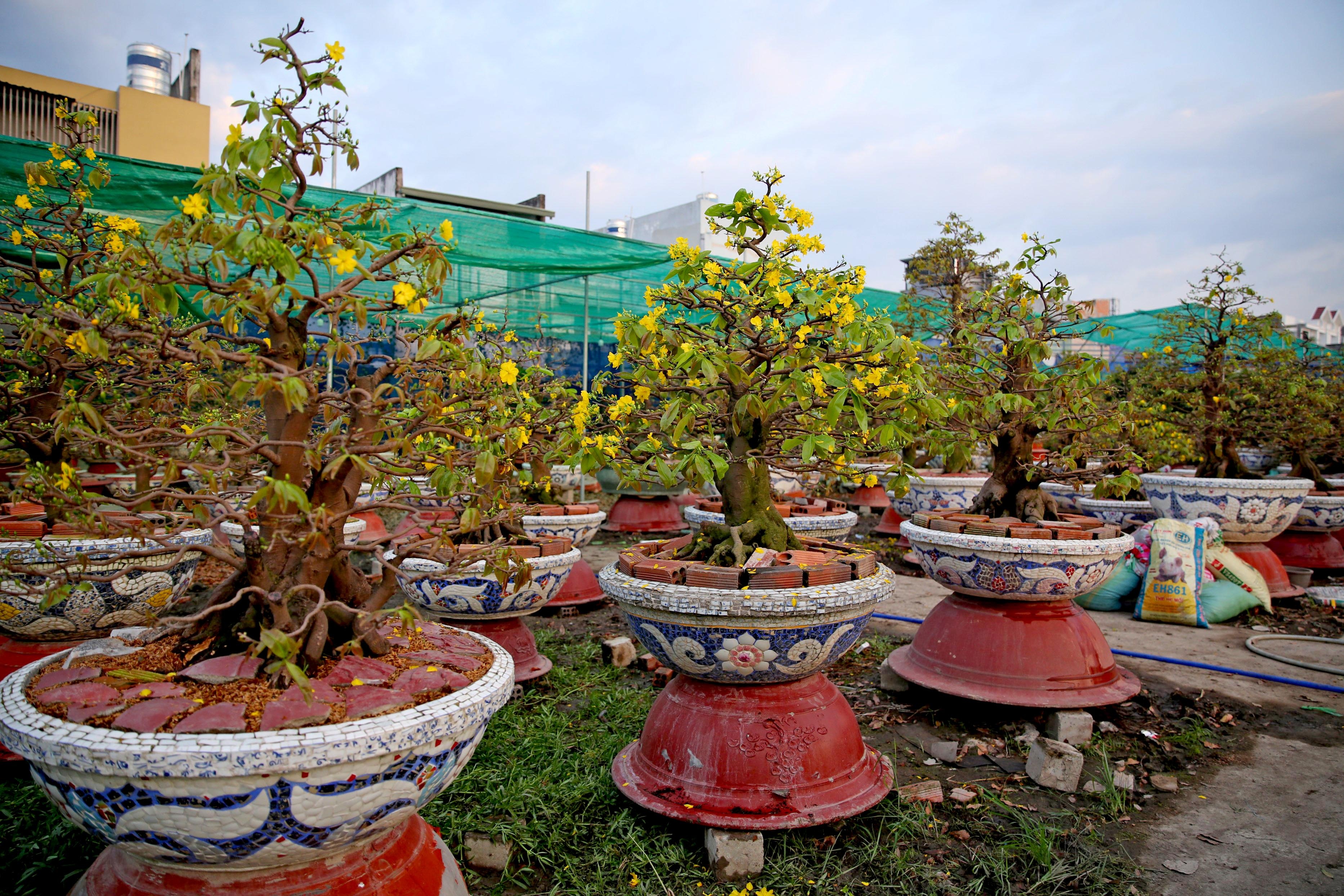 Mai Thu Duc no som anh 1