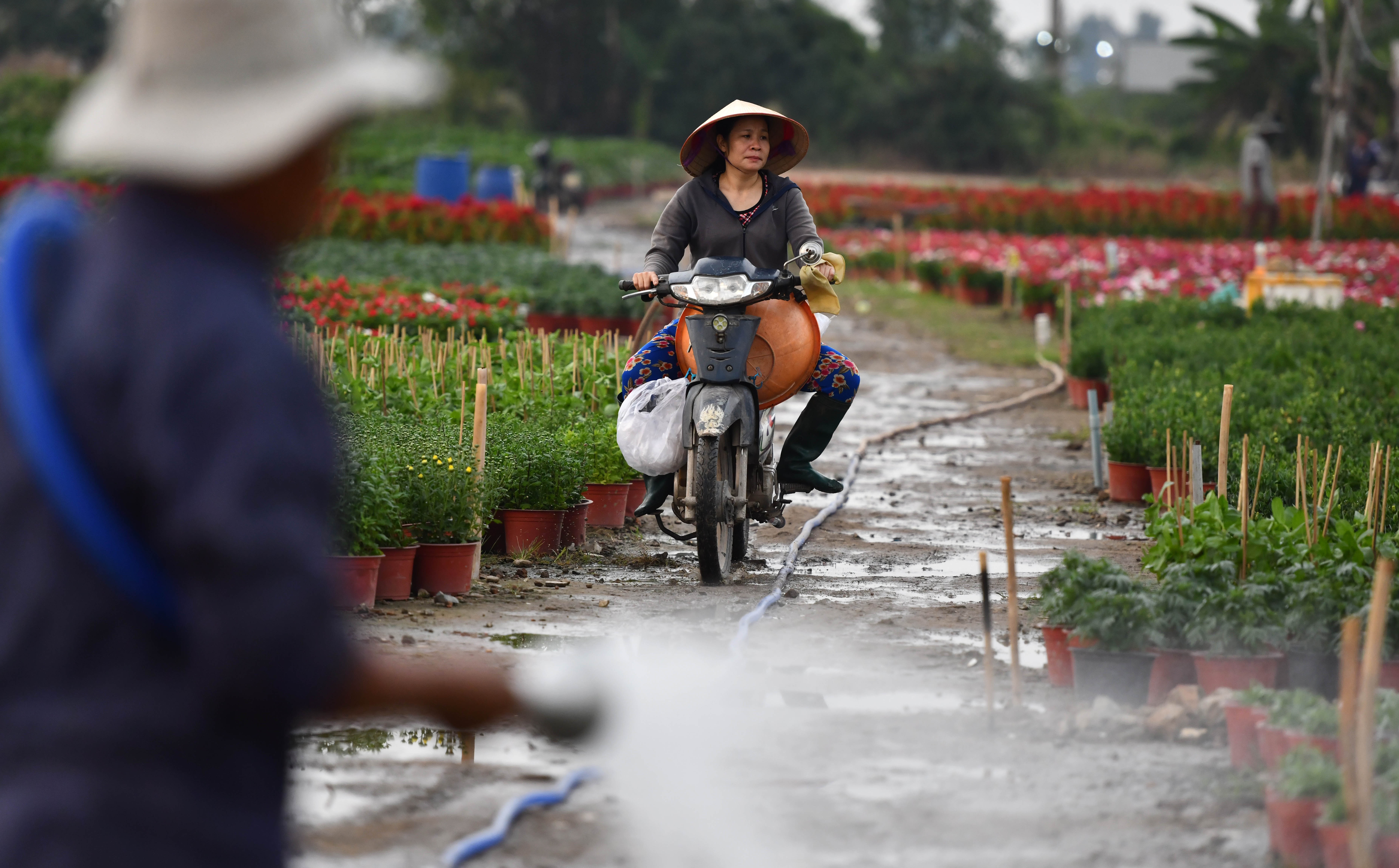 Nghe trong hoa Tet o TP.HCM anh 11