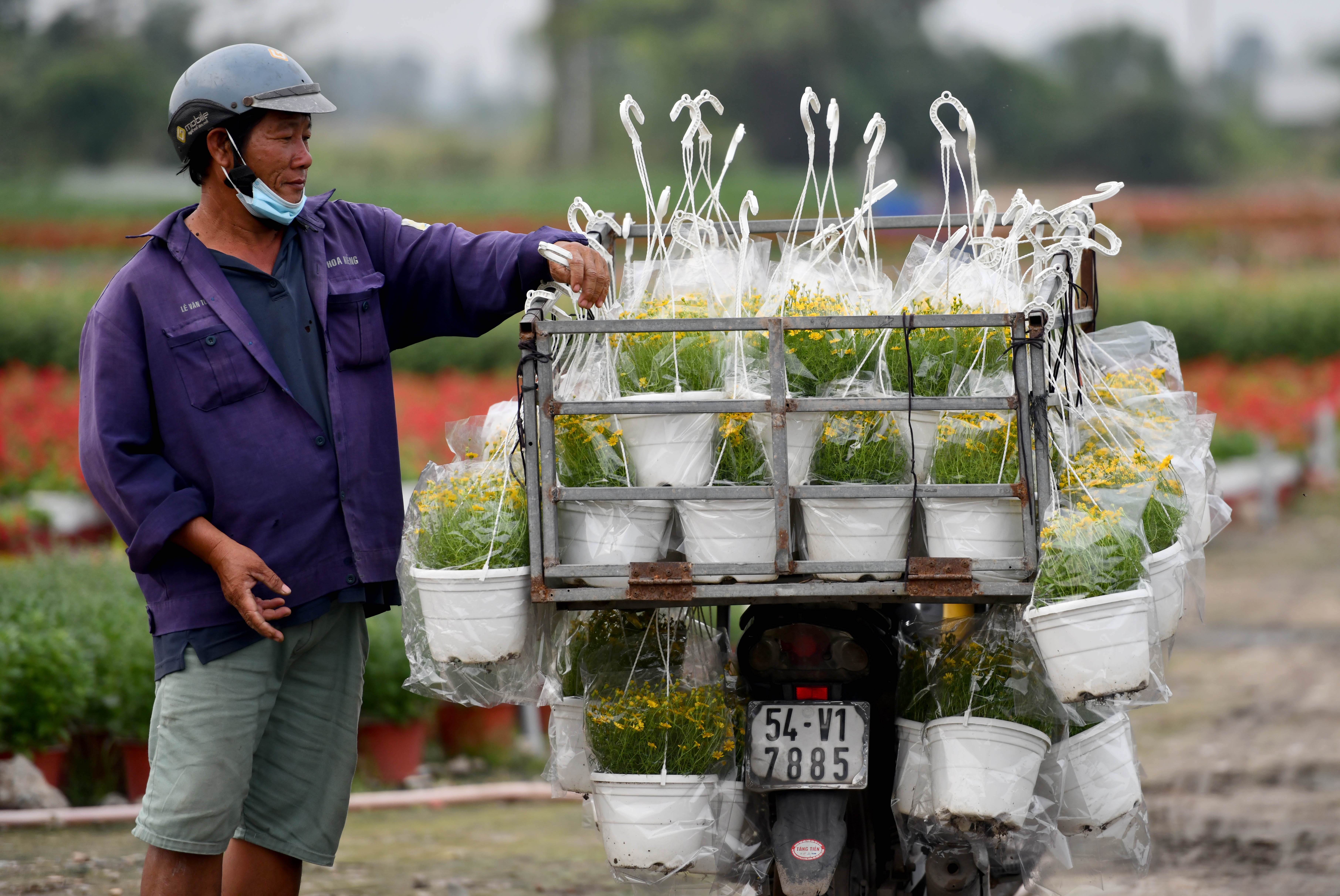 Nghe trong hoa Tet o TP.HCM anh 6