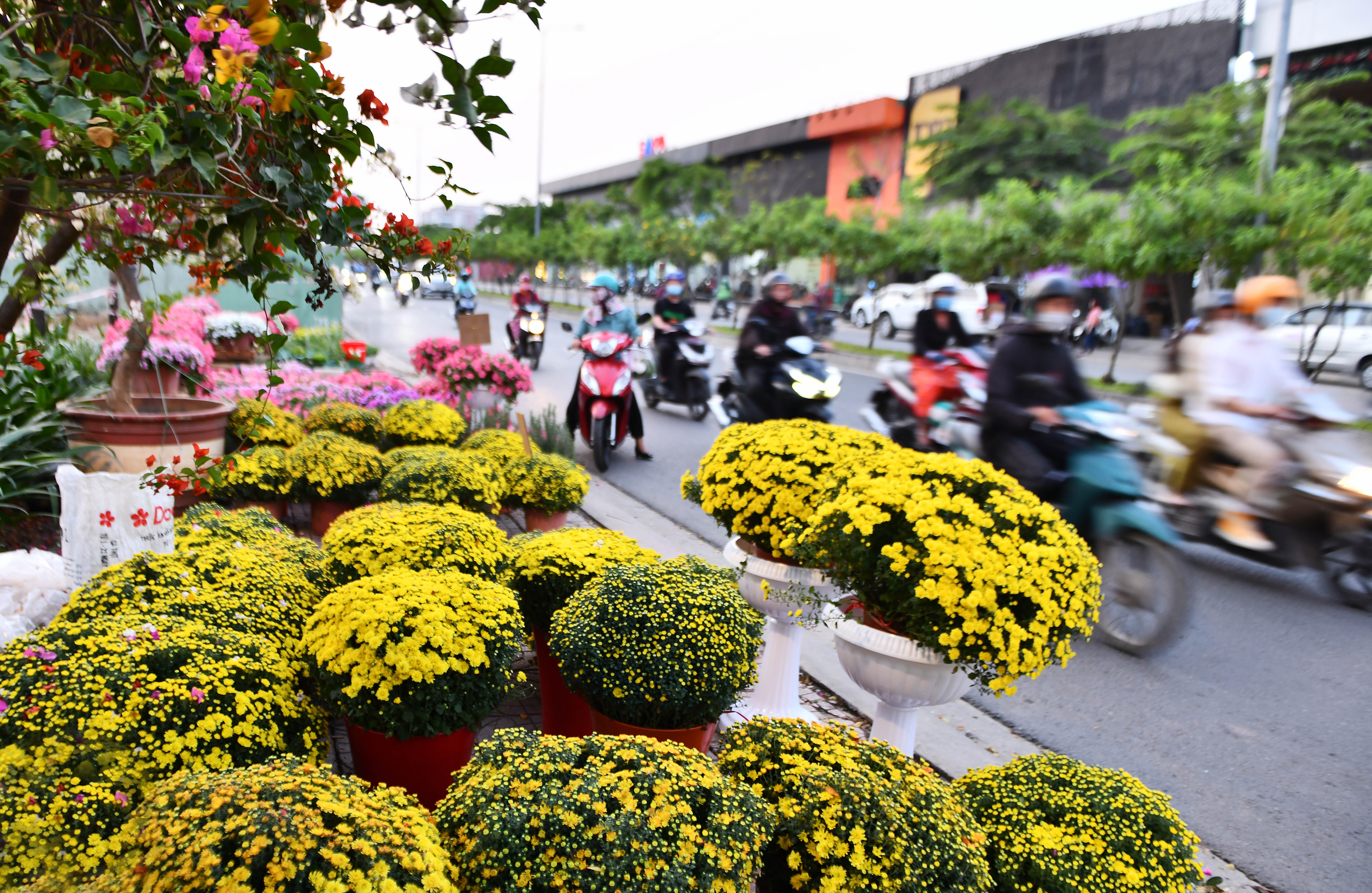 Hoa Tet ua ve hai ben duong noi o TP.HCM, gia re hon nam ngoai hinh anh