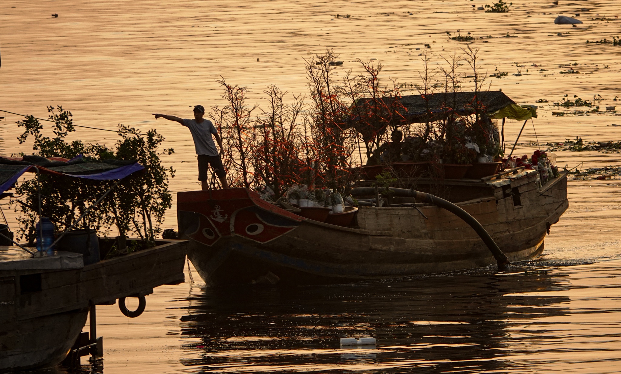 Hoa kieng ve ben Binh Dong anh 2