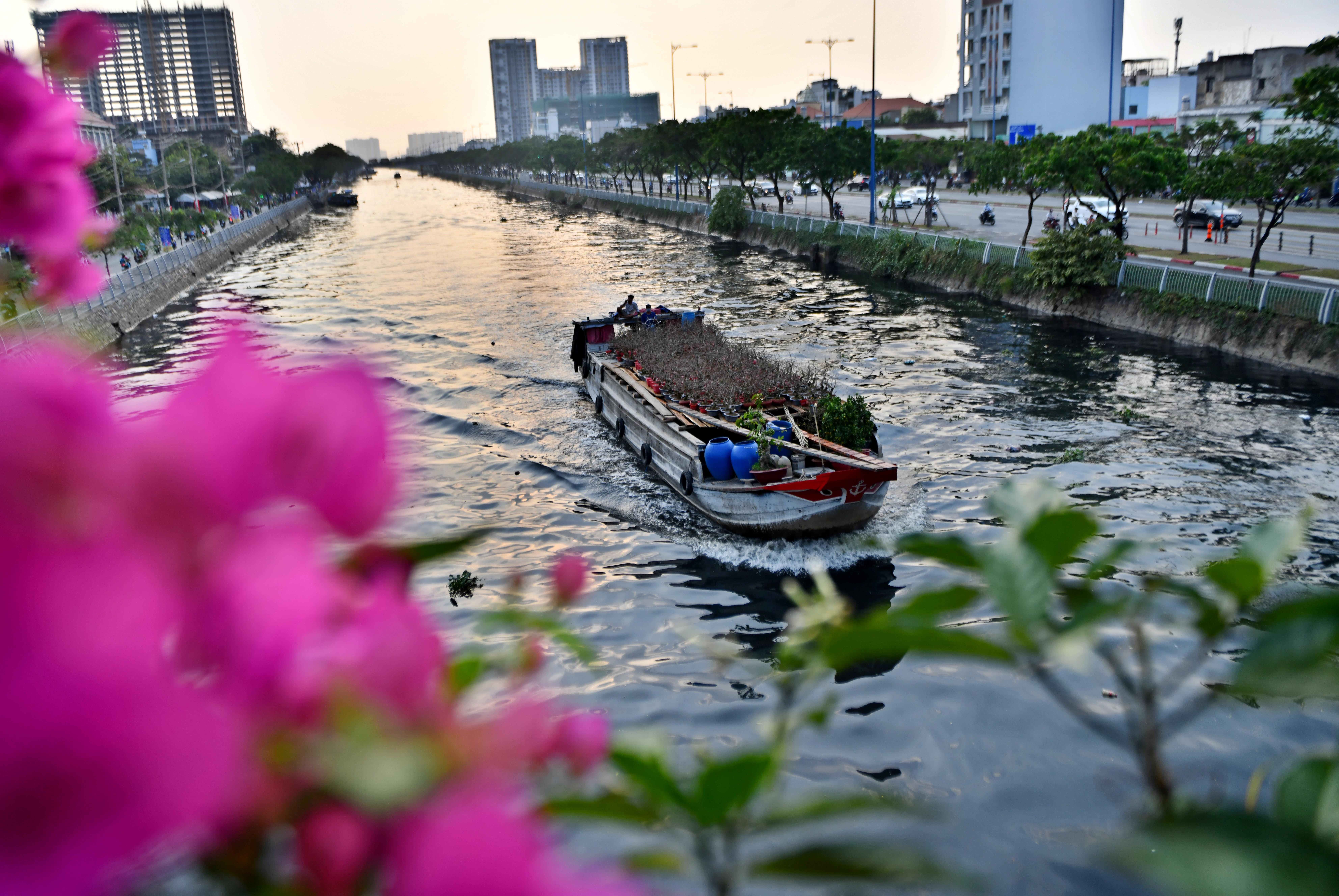 Hoa kieng ve ben Binh Dong anh 1
