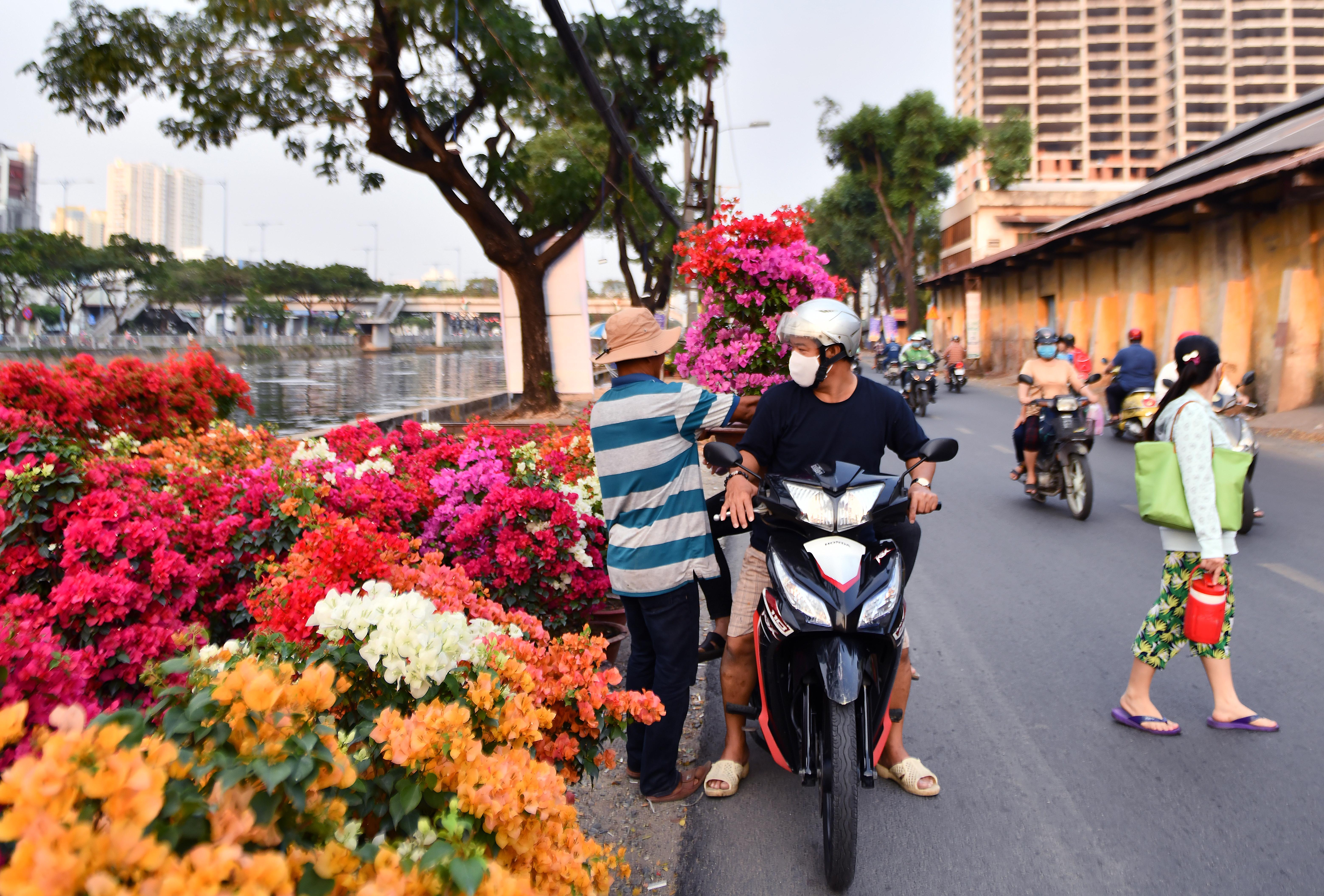 Hoa kieng ve ben Binh Dong anh 10