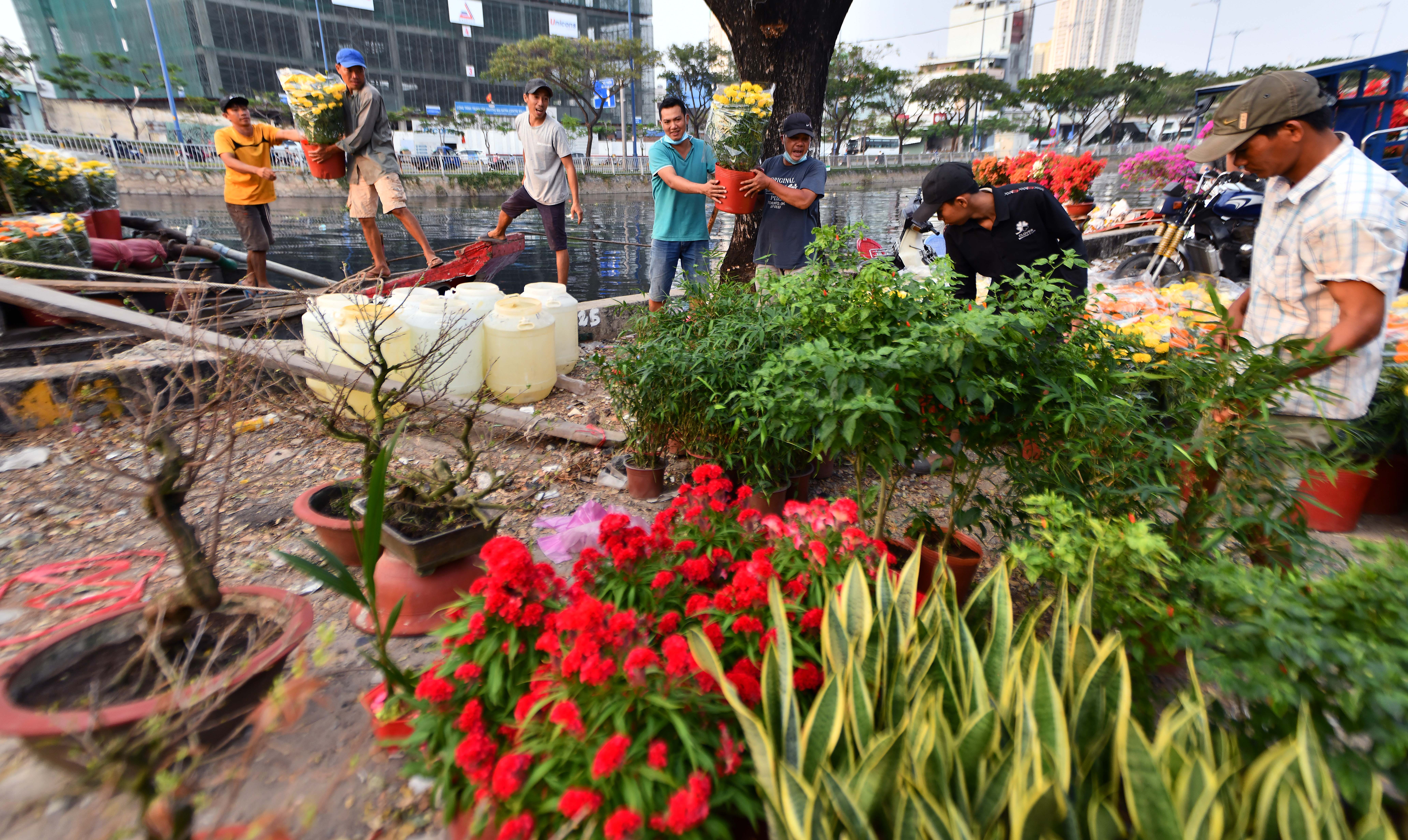 Hoa kieng ve ben Binh Dong anh 6