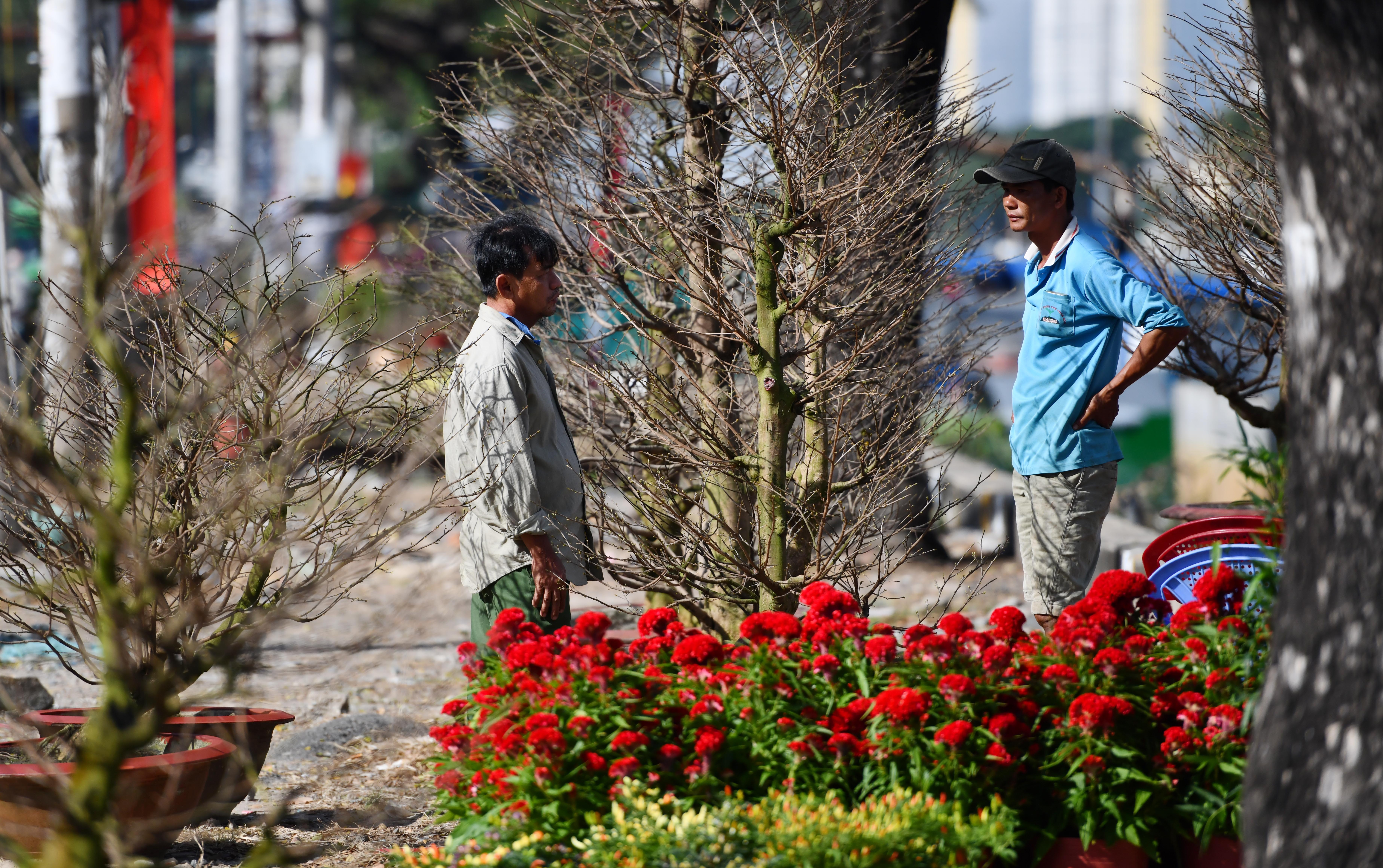Hoa kieng ve ben Binh Dong anh 8