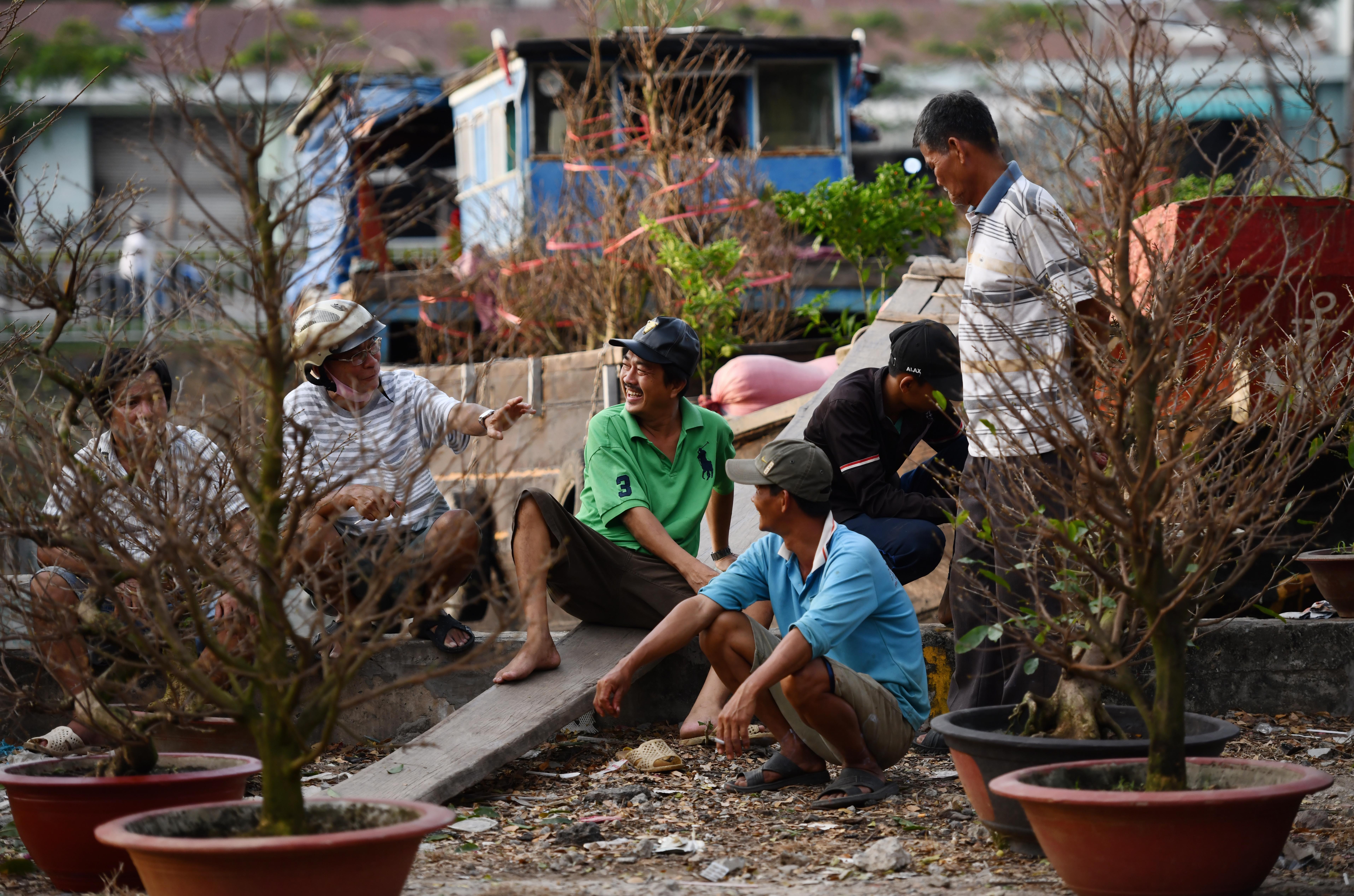 Hoa kiểng về bến Bình Đông ảnh 12 Hoa kieng ve ben Binh Dong anh 12