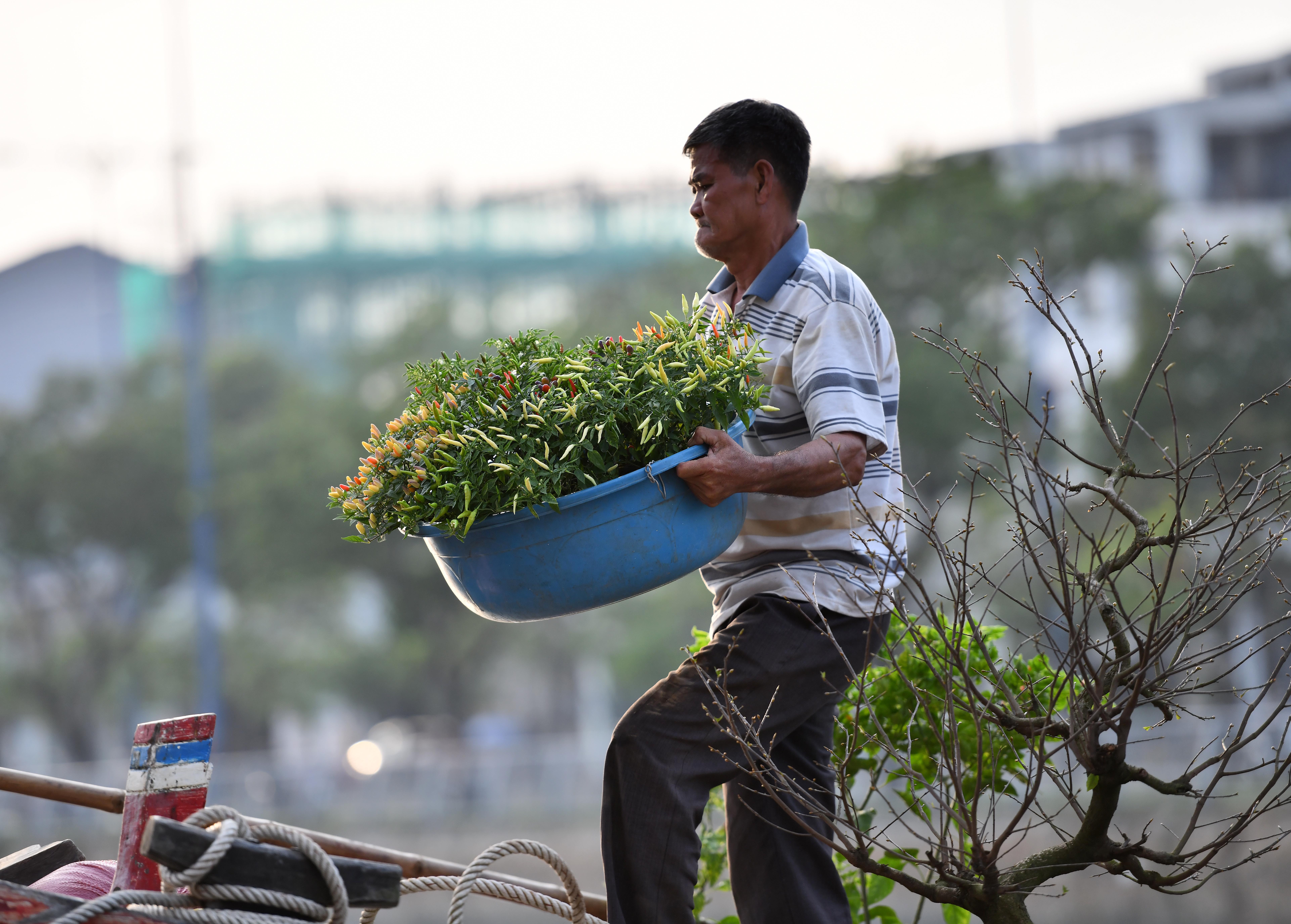 Hoa kieng ve ben Binh Dong anh 9