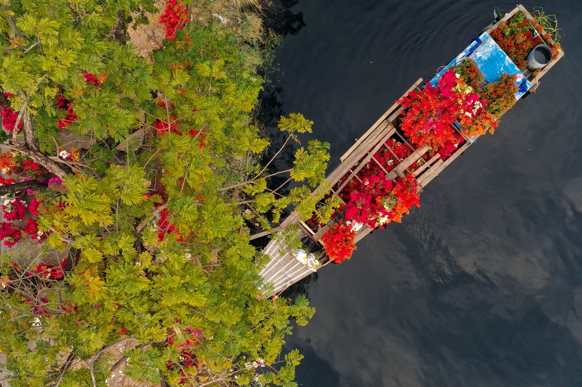 Hoa kieng ve ben Binh Dong anh 11
