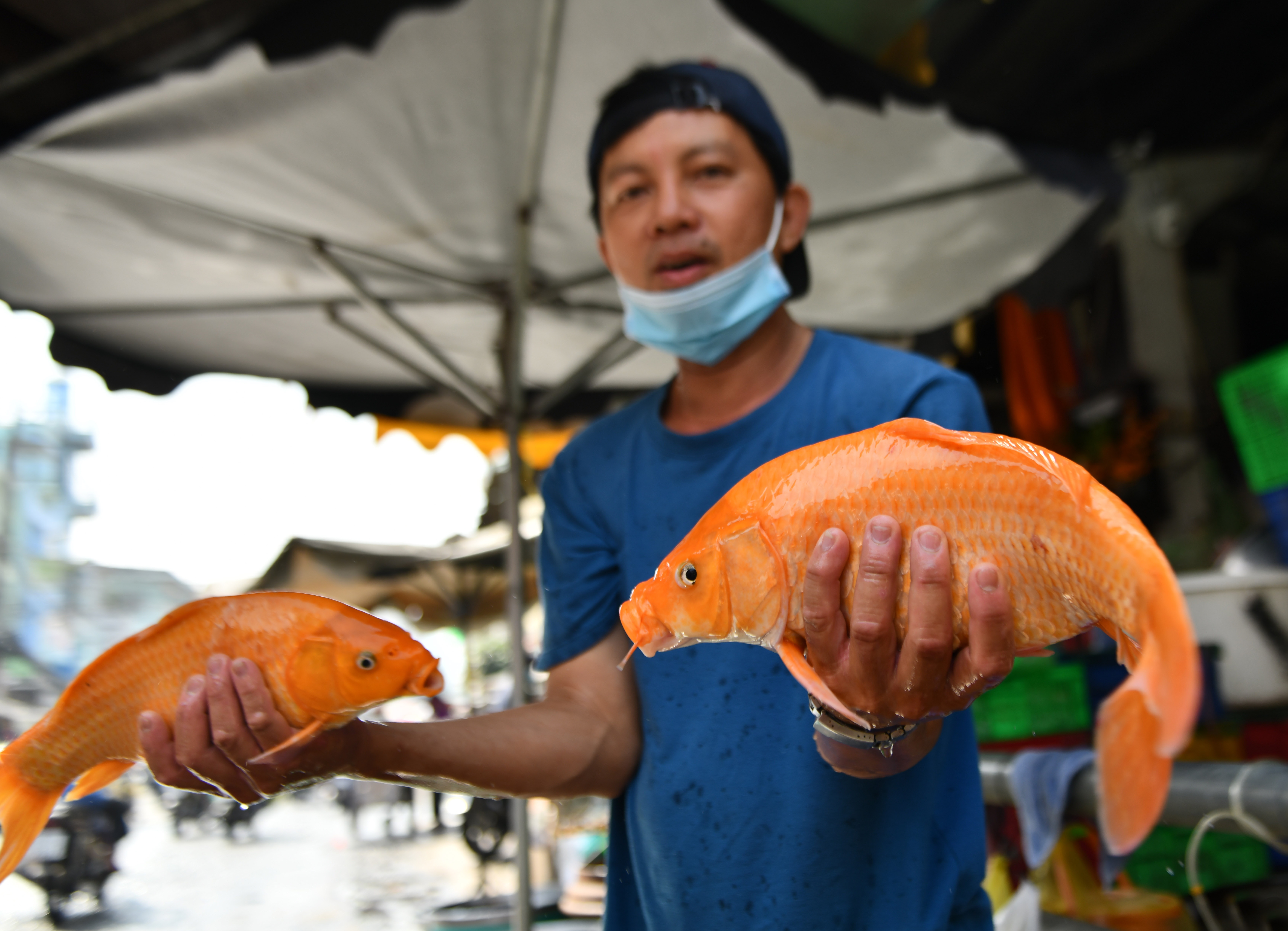 Thua thot nguoi den cho mua le vat cung tien Tao quan hinh anh