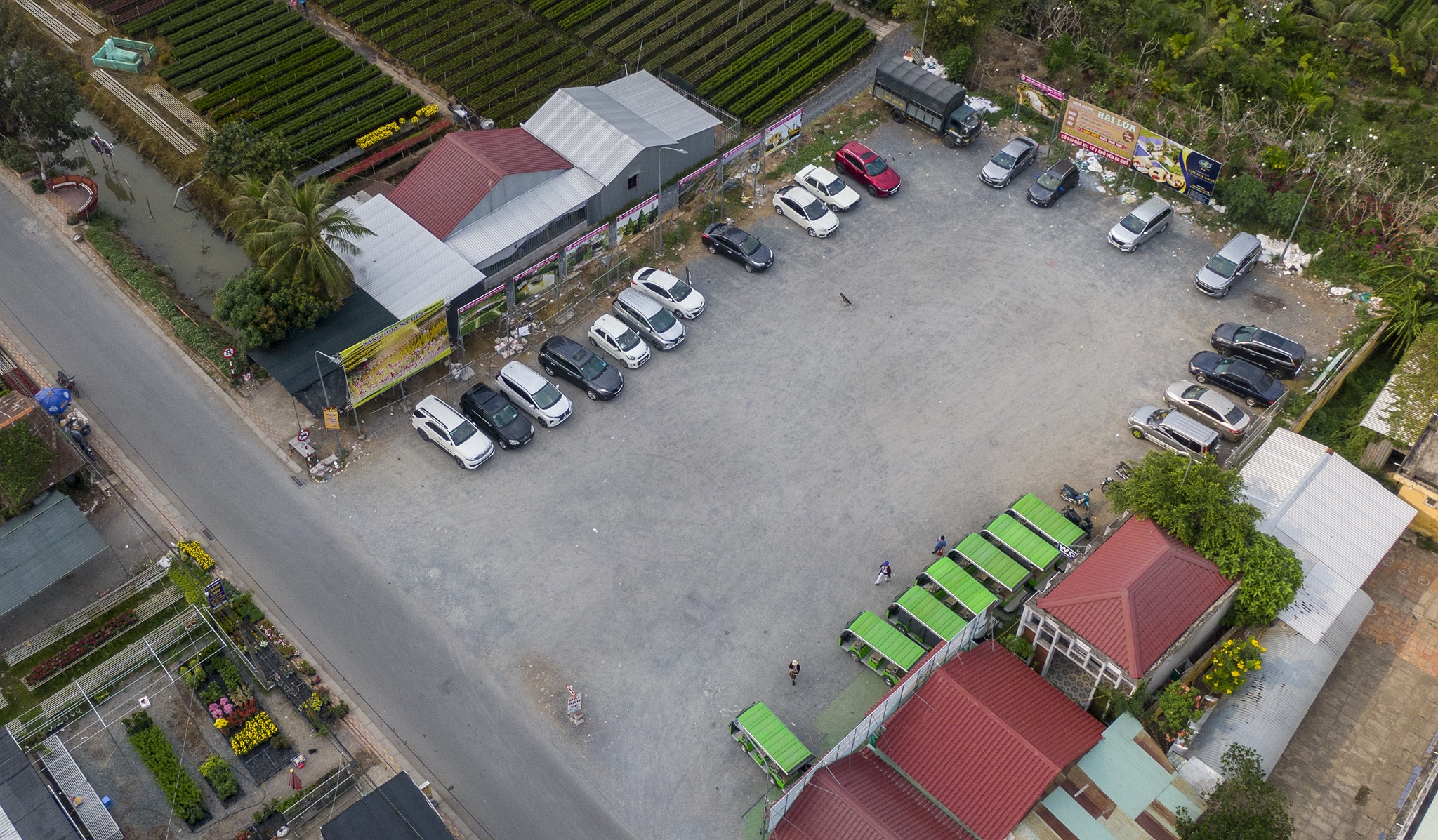 Lang hoa Sa Dec vang ve anh 8