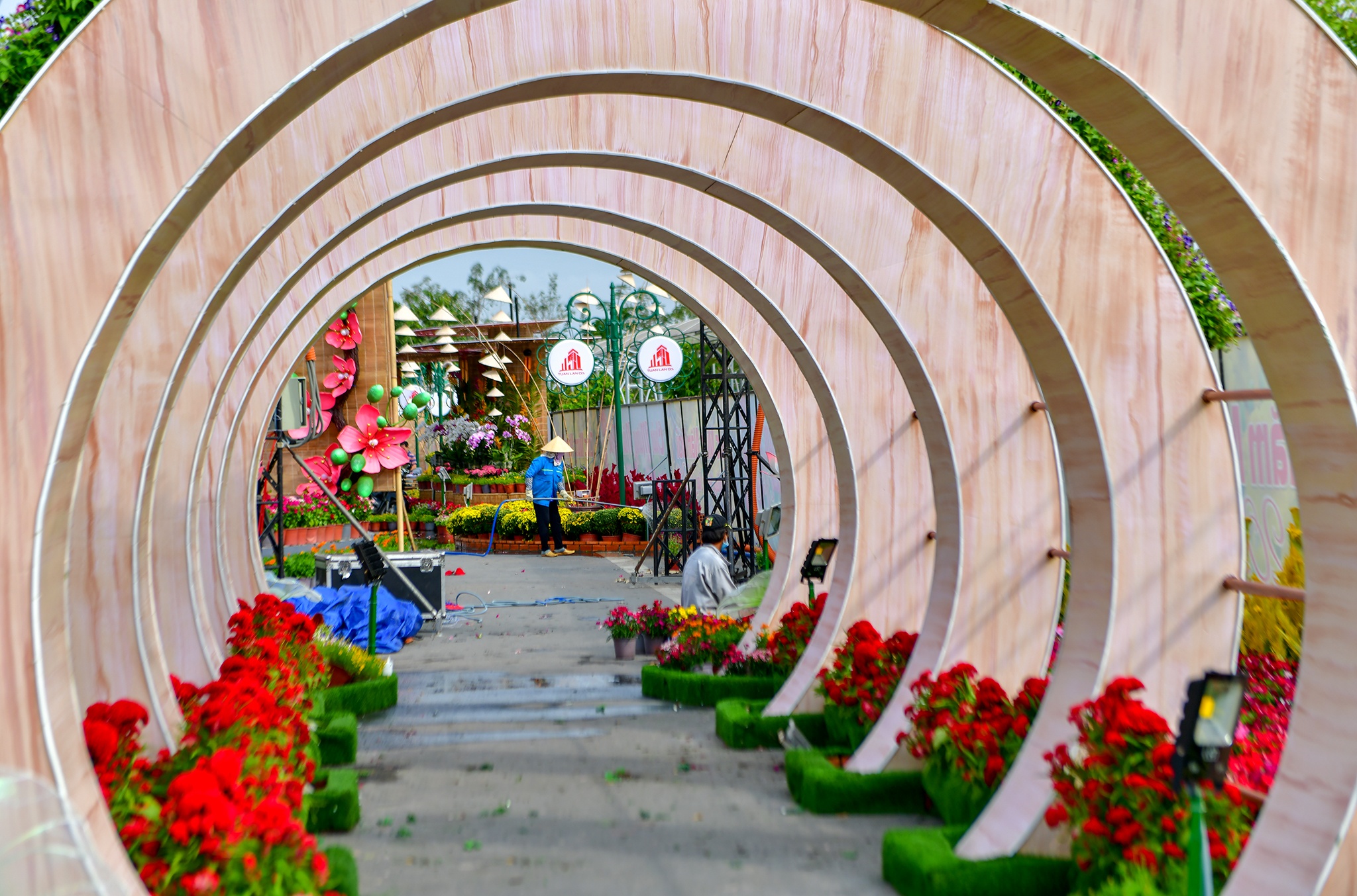 Duong hoa Tet TP Can Tho anh 12