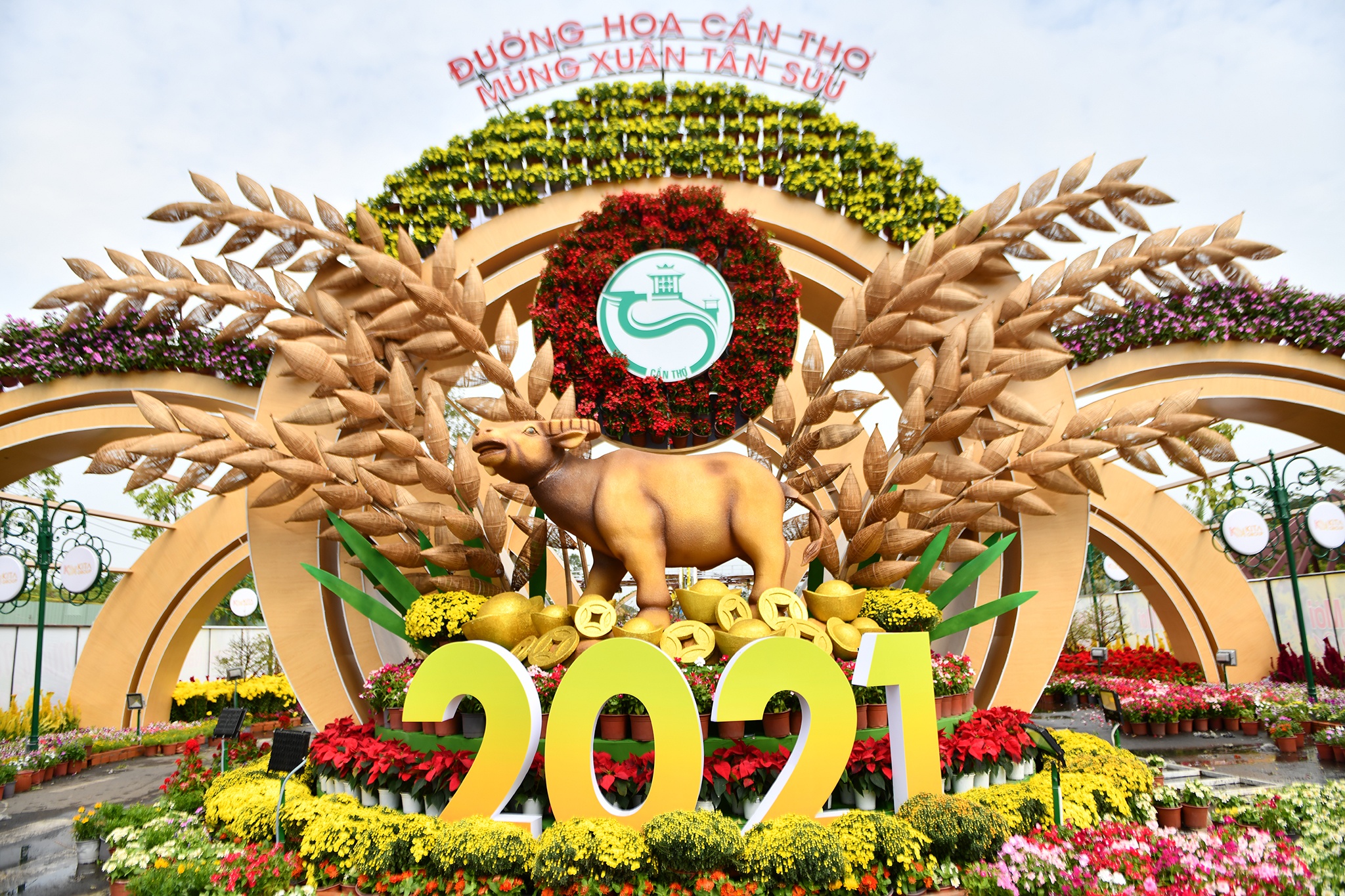 Duong hoa Tet TP Can Tho anh 4