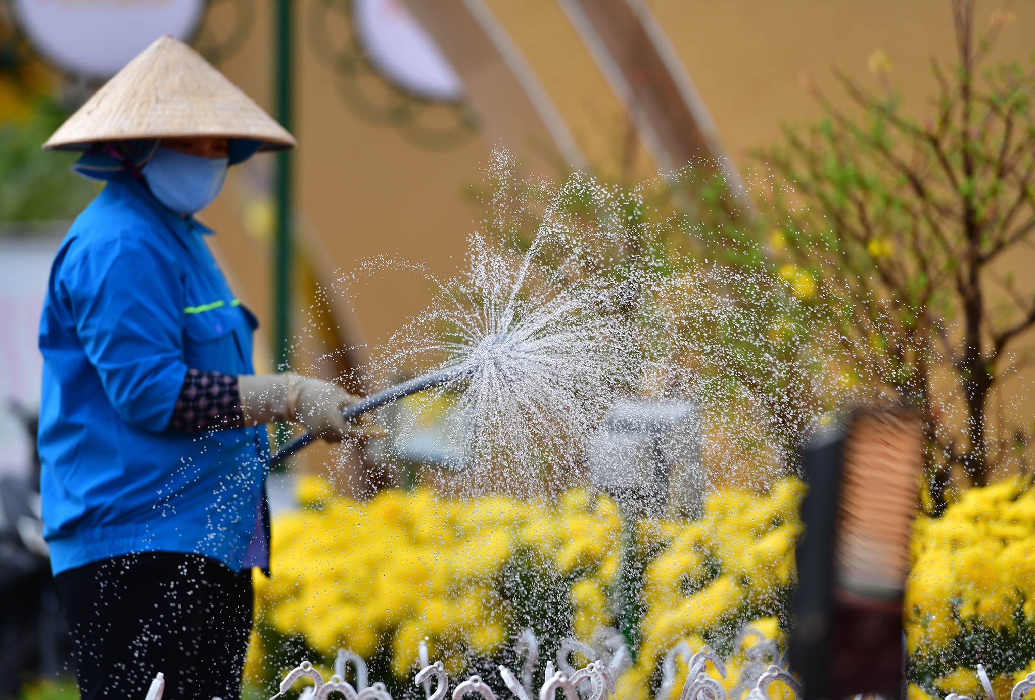 Duong hoa Tet TP Can Tho anh 13