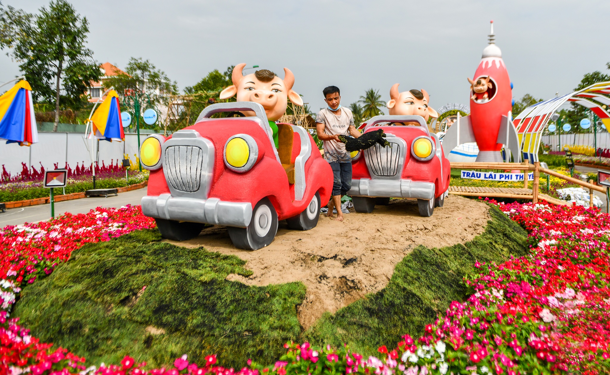 Duong hoa Tet TP Can Tho anh 8