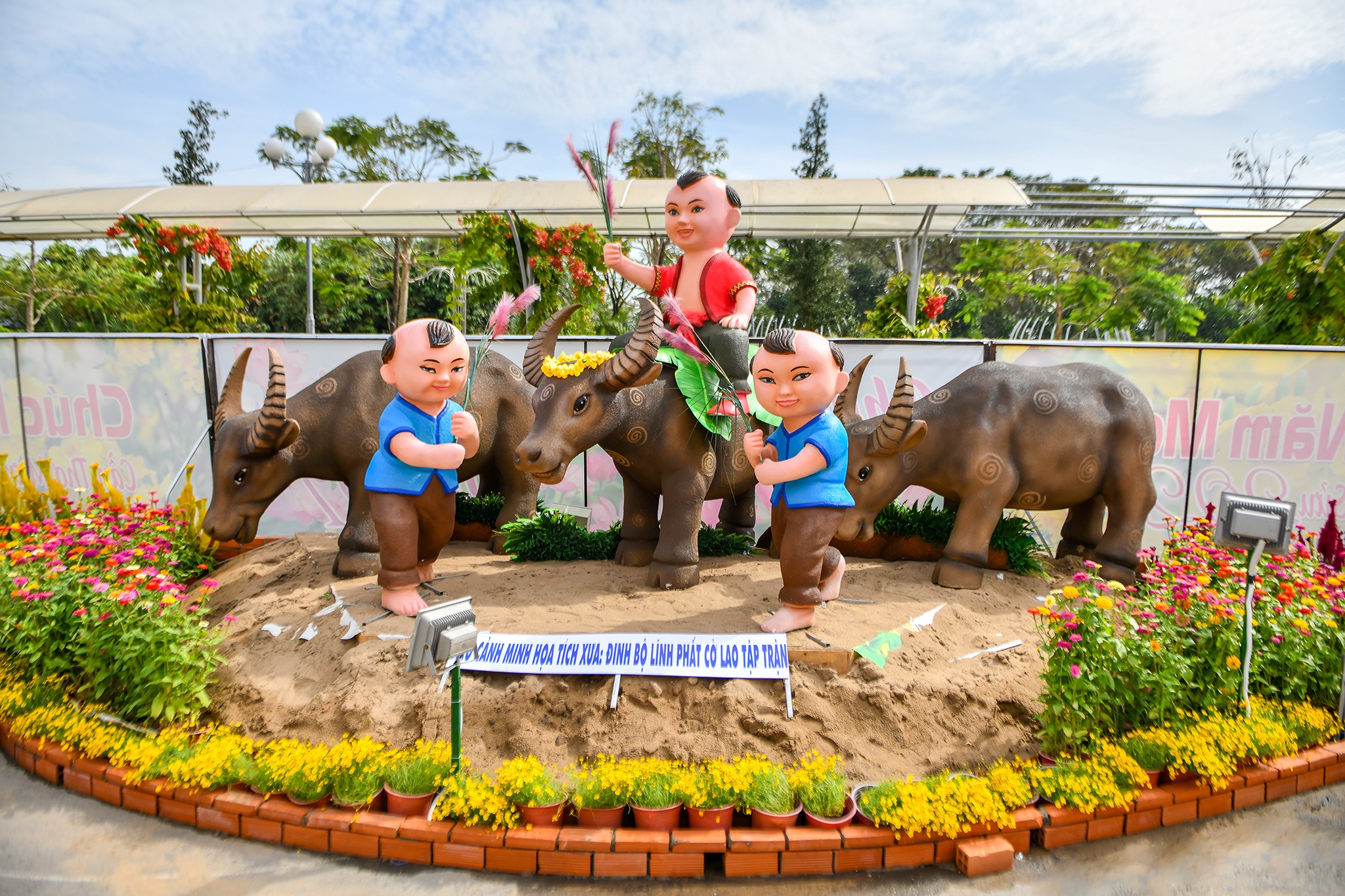 Duong hoa Tet TP Can Tho anh 7