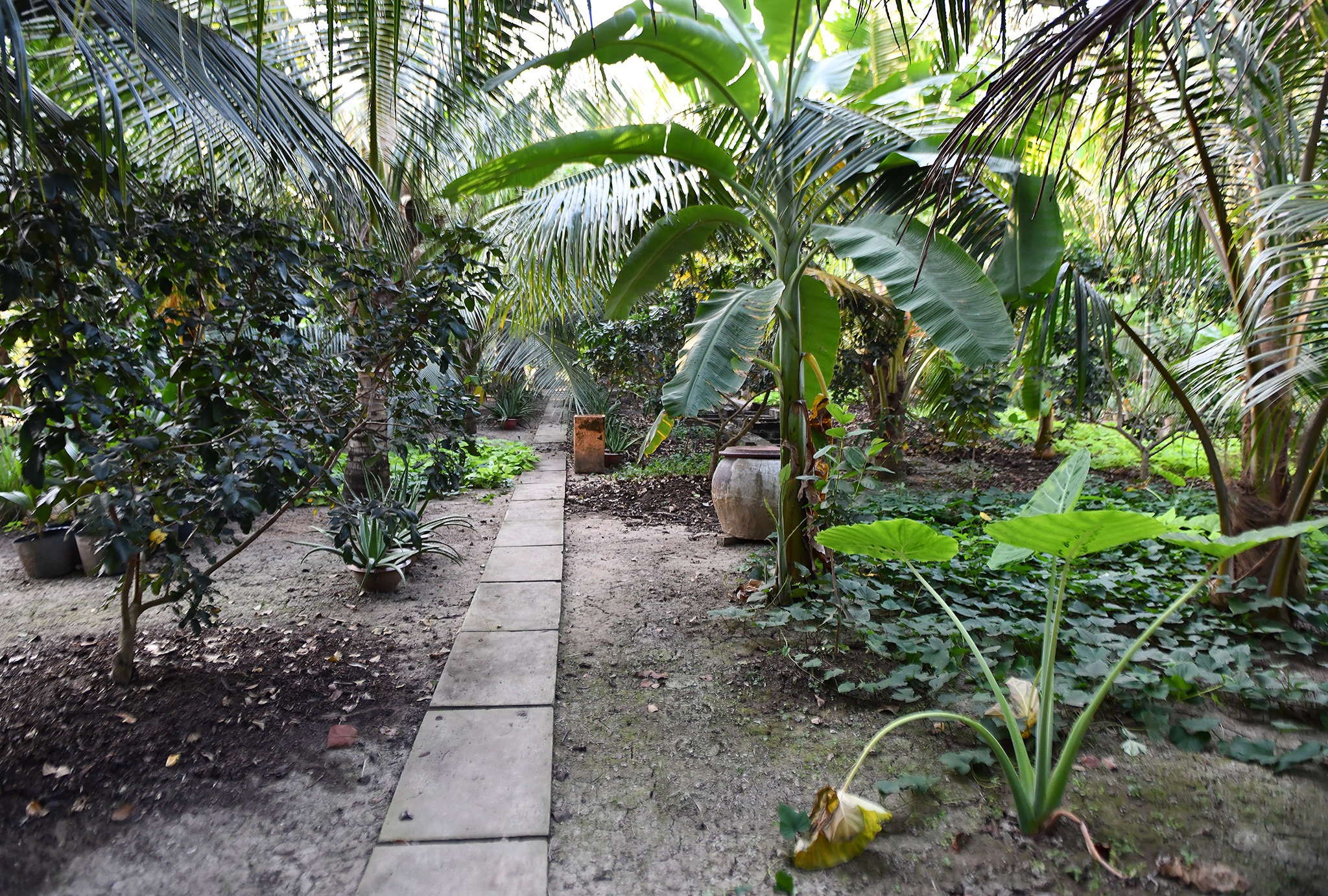 Nguyen Pho thu tuong Truong Vinh Trong mat anh 9