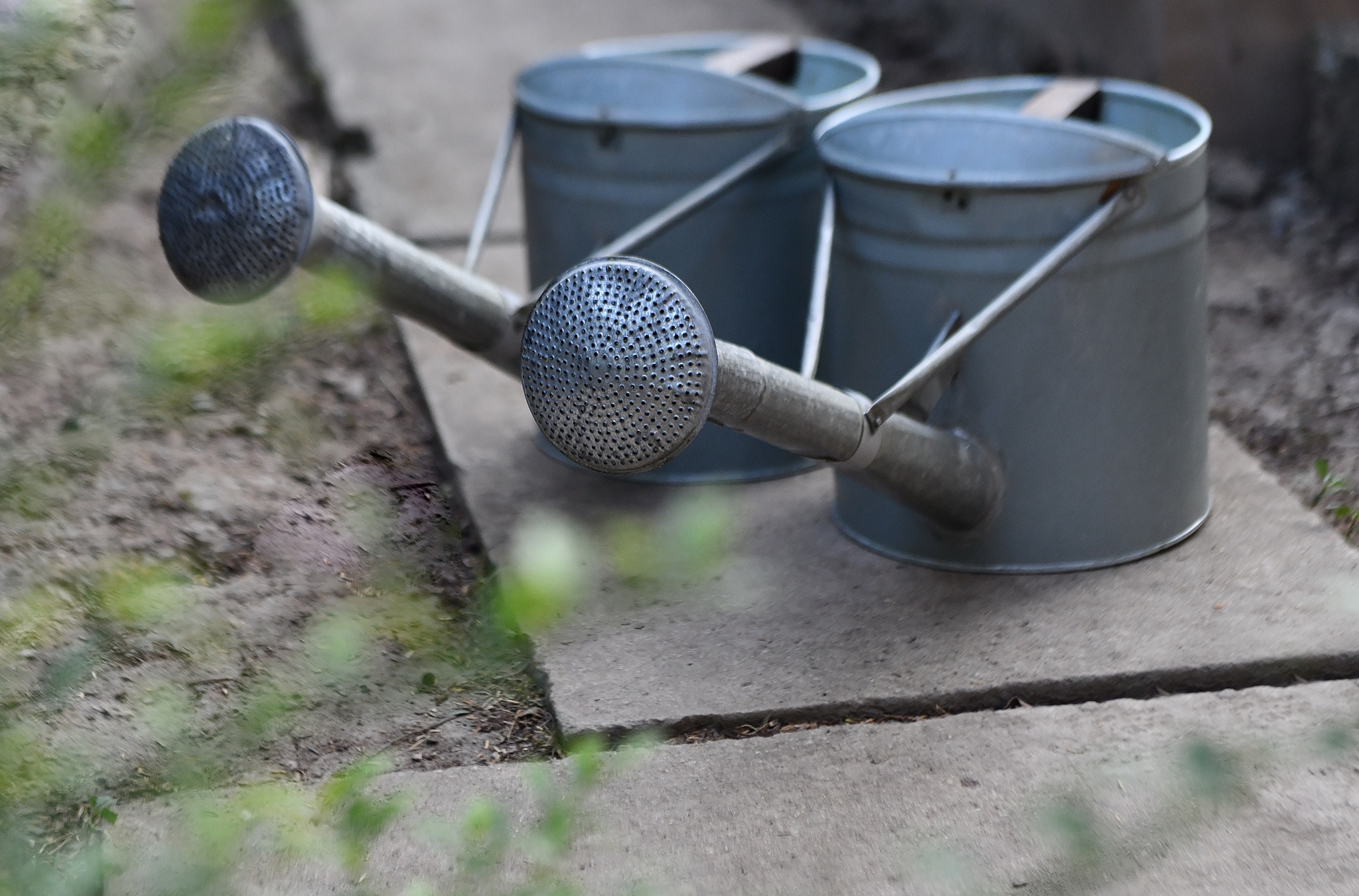 Nguyen Pho thu tuong Truong Vinh Trong mat anh 10