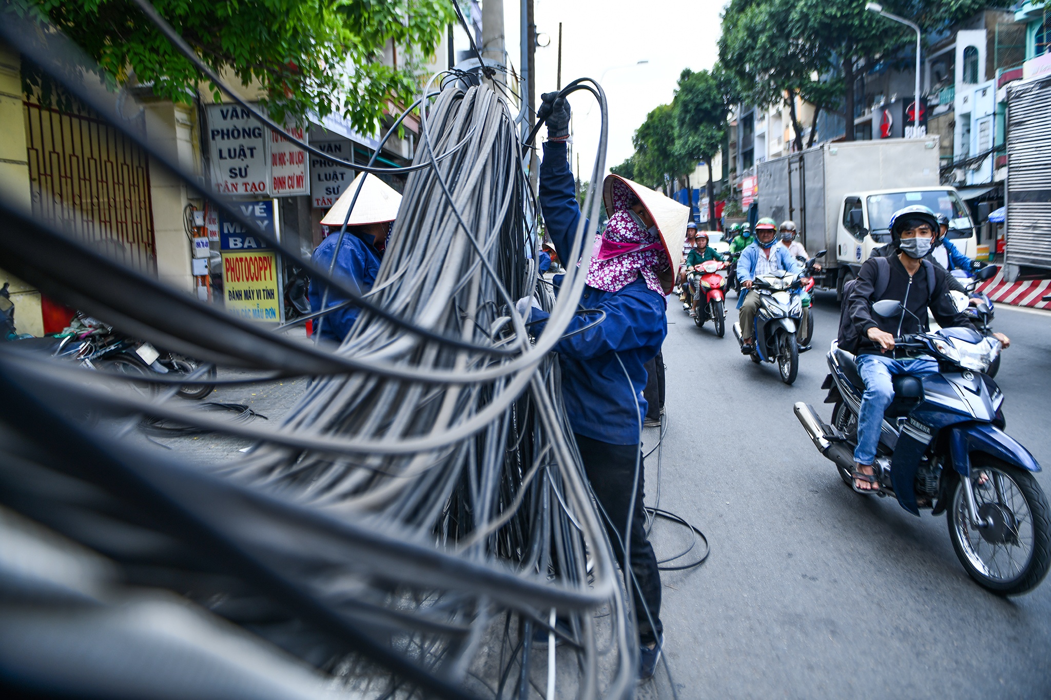 Ngam hoa cap dien giua trua nang o TP.HCM hinh anh