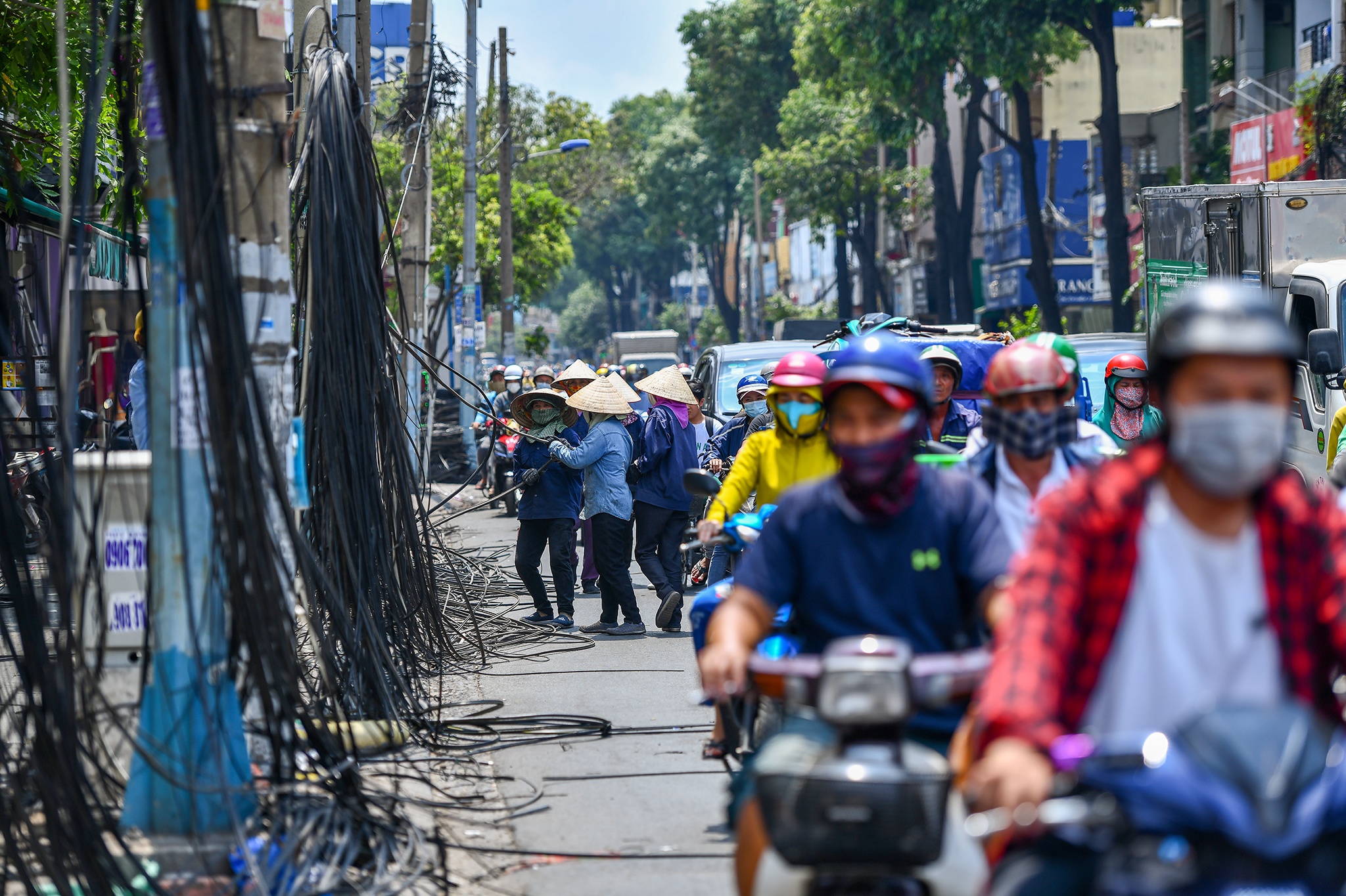 Ngam hoa cap dien o TP.HCM anh 2