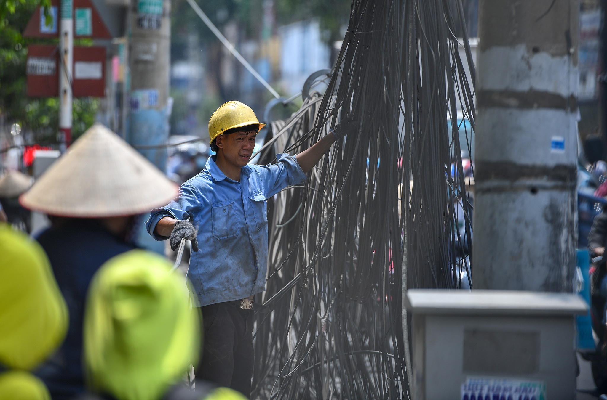 Ngam hoa cap dien o TP.HCM anh 9