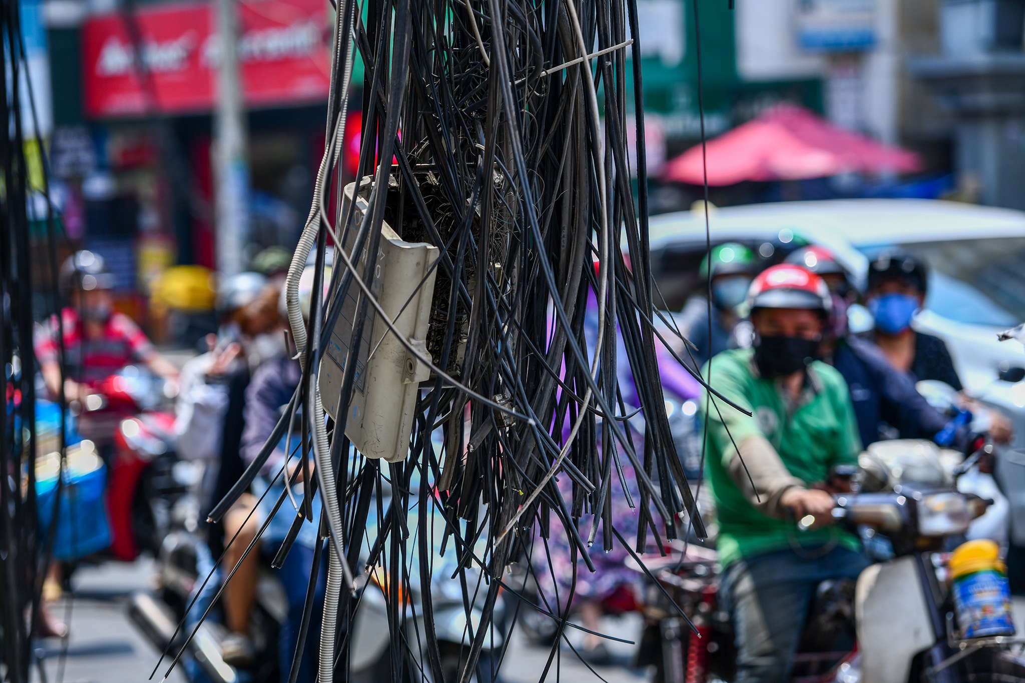 Ngam hoa cap dien o TP.HCM anh 3