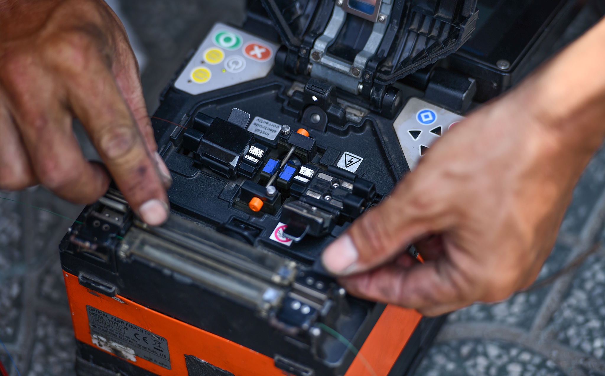 Ngam hoa cap dien o TP.HCM anh 7