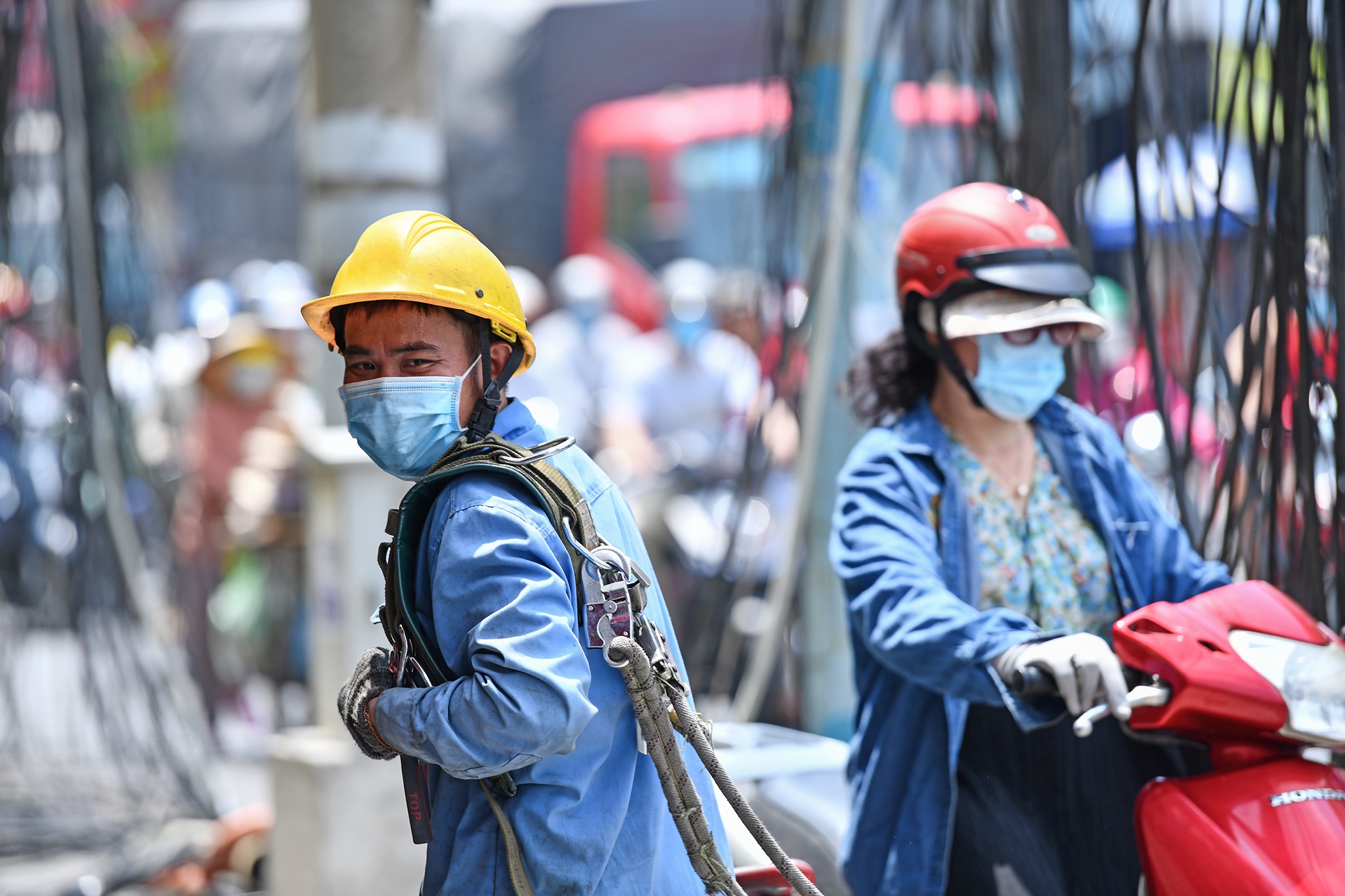 Ngam hoa cap dien o TP.HCM anh 10