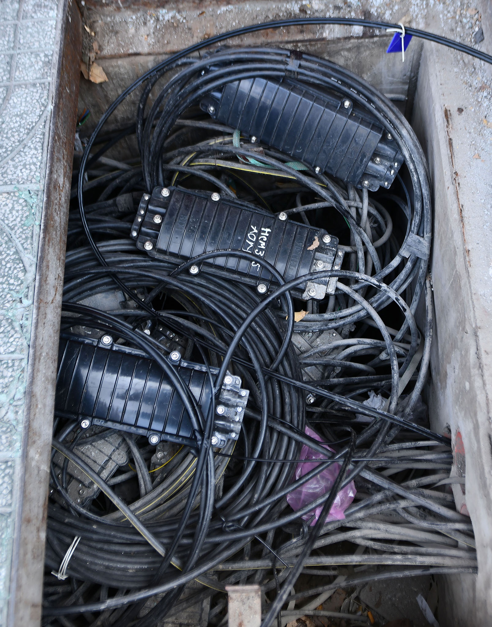 Ngam hoa cap dien o TP.HCM anh 8