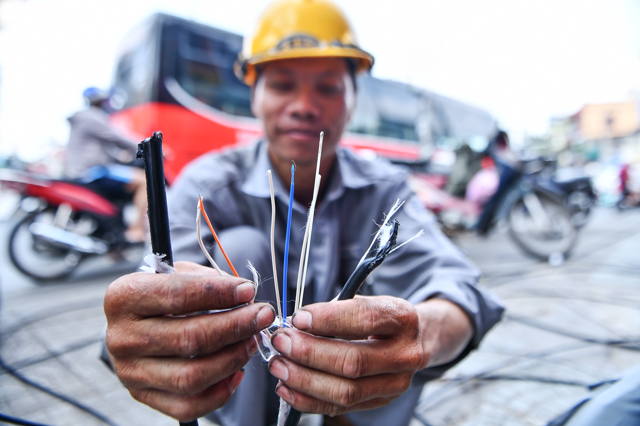 Ngam hoa cap dien o TP.HCM anh 6