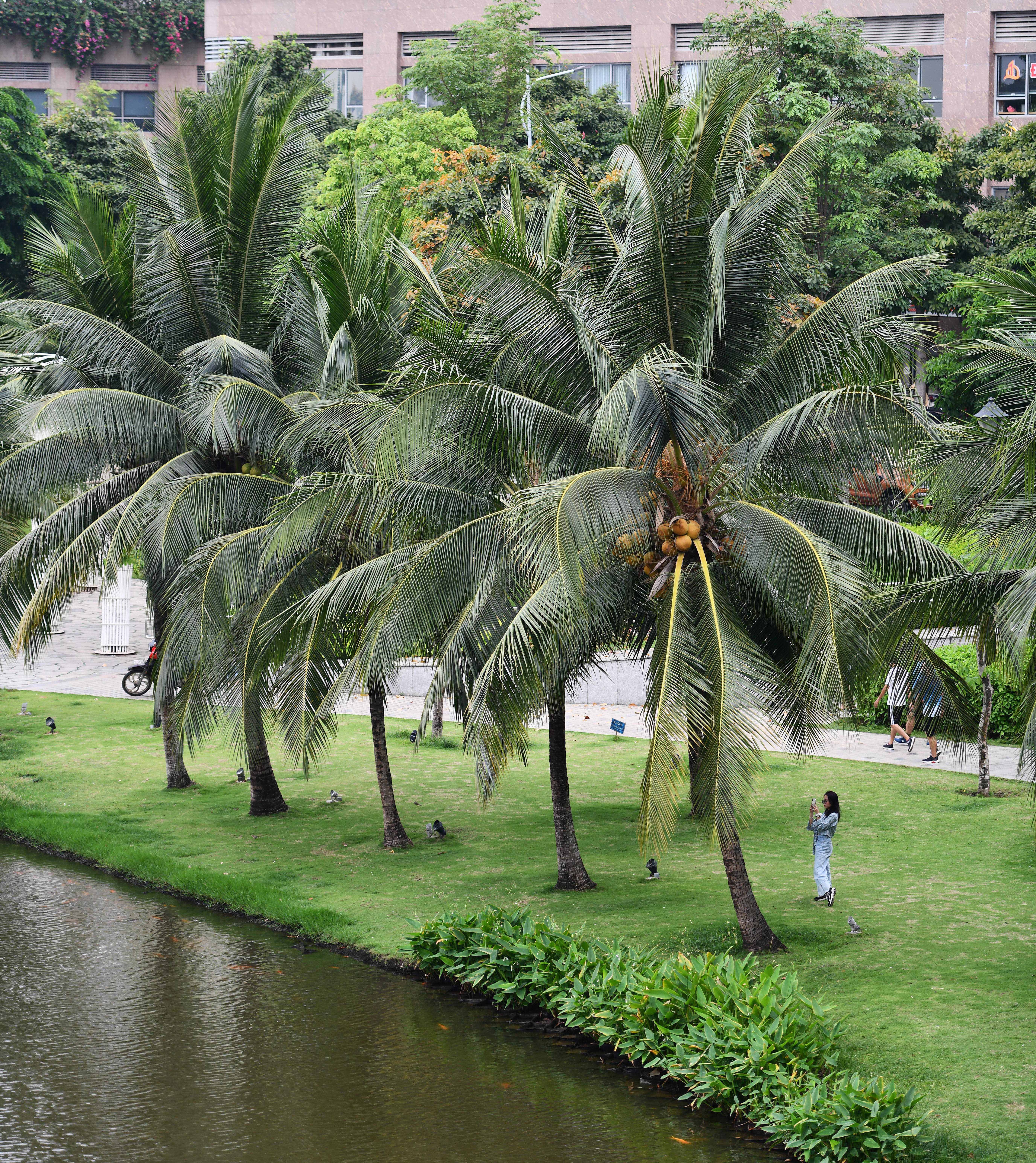 Diem check-in quan 2 TP.HCM anh 16