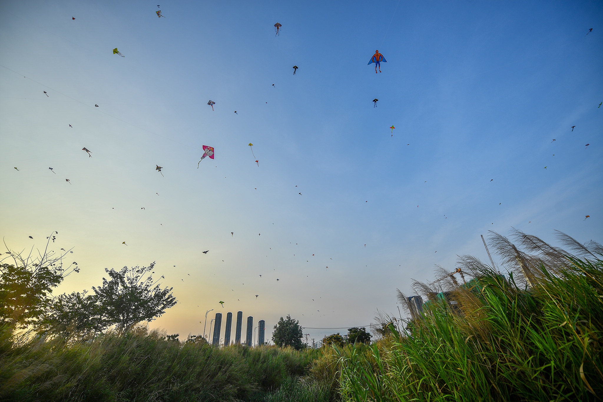 Diem check-in quan 2 TP.HCM anh 35