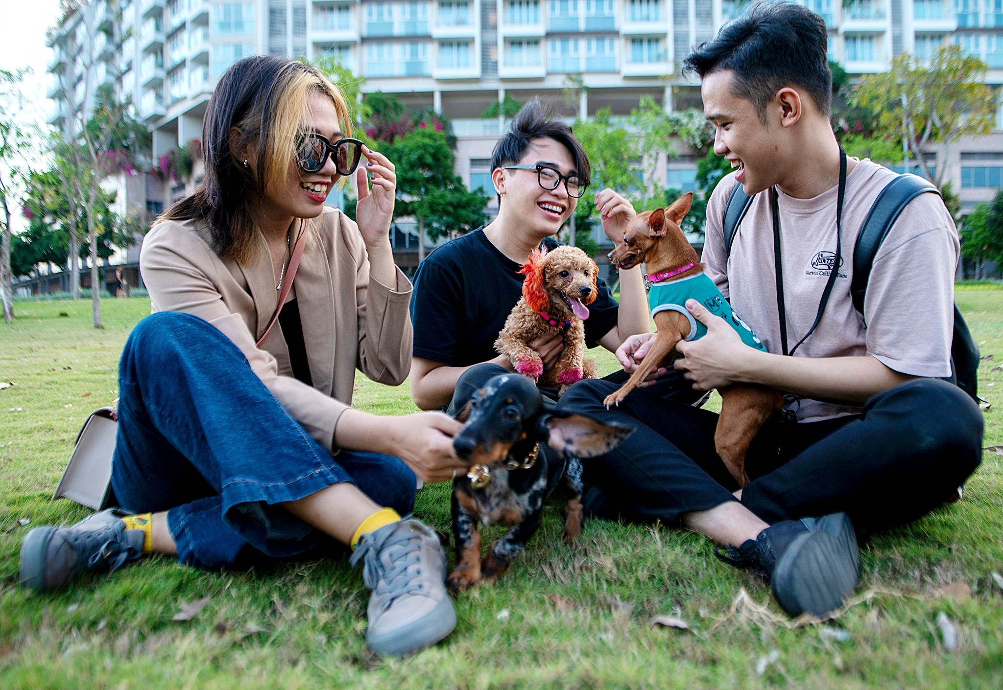 Cong vien Sala thanh diem hen cua hoi yeu cho o TP.HCM hinh anh