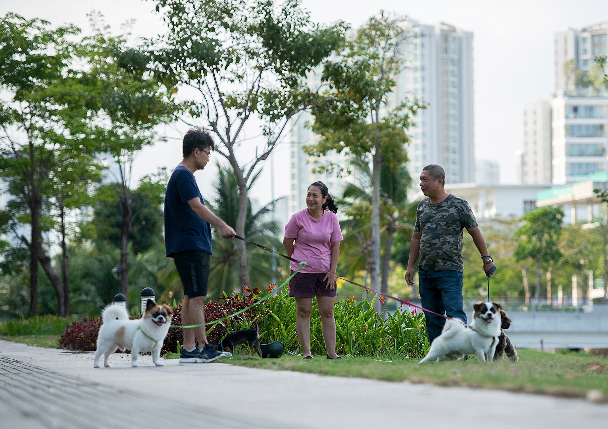 Bai cho o Sala anh 1