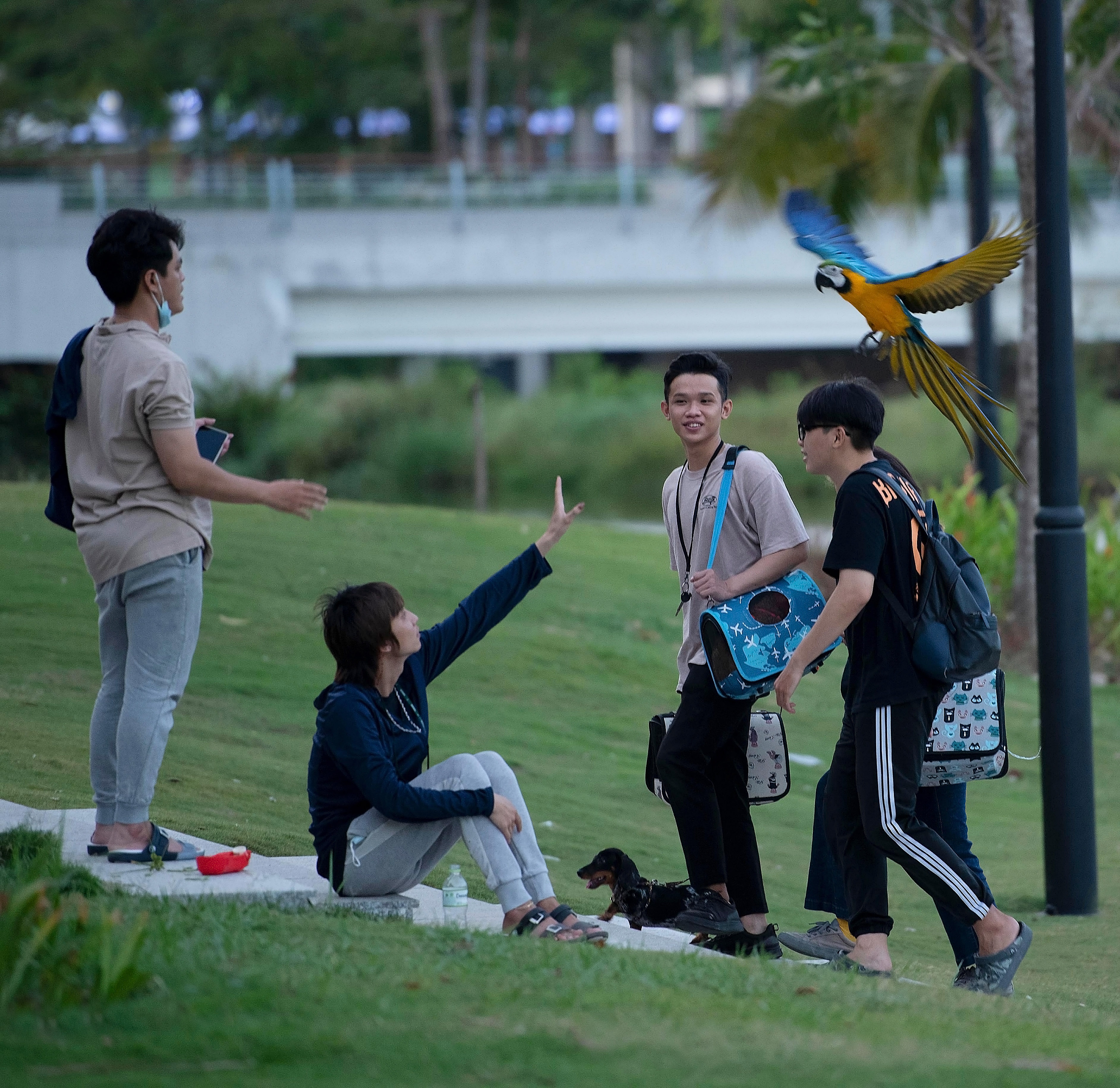 Bai cho o Sala anh 11