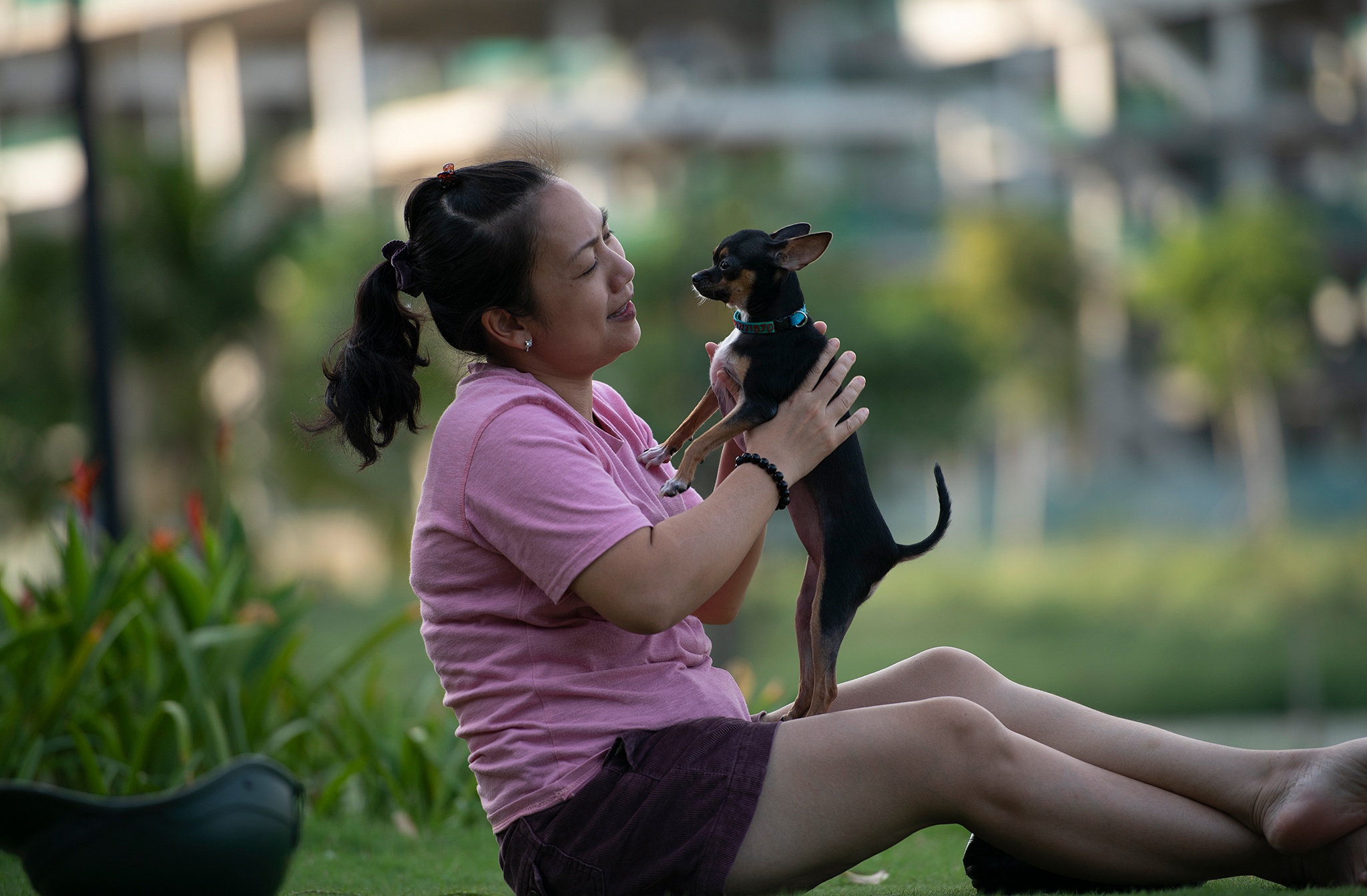 Bai cho o Sala anh 2