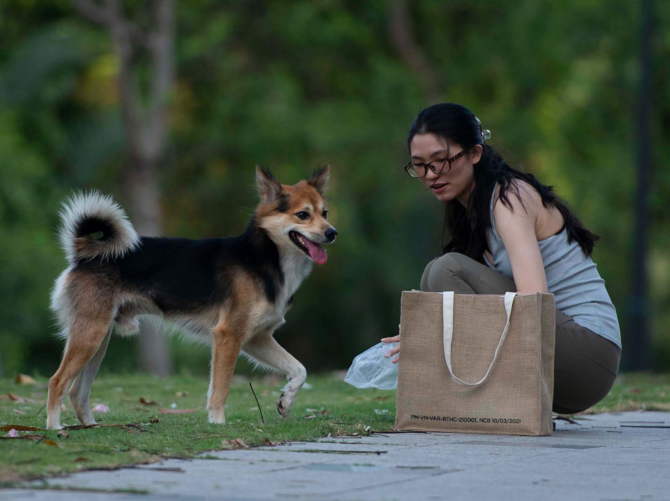 Bai cho o Sala anh 9