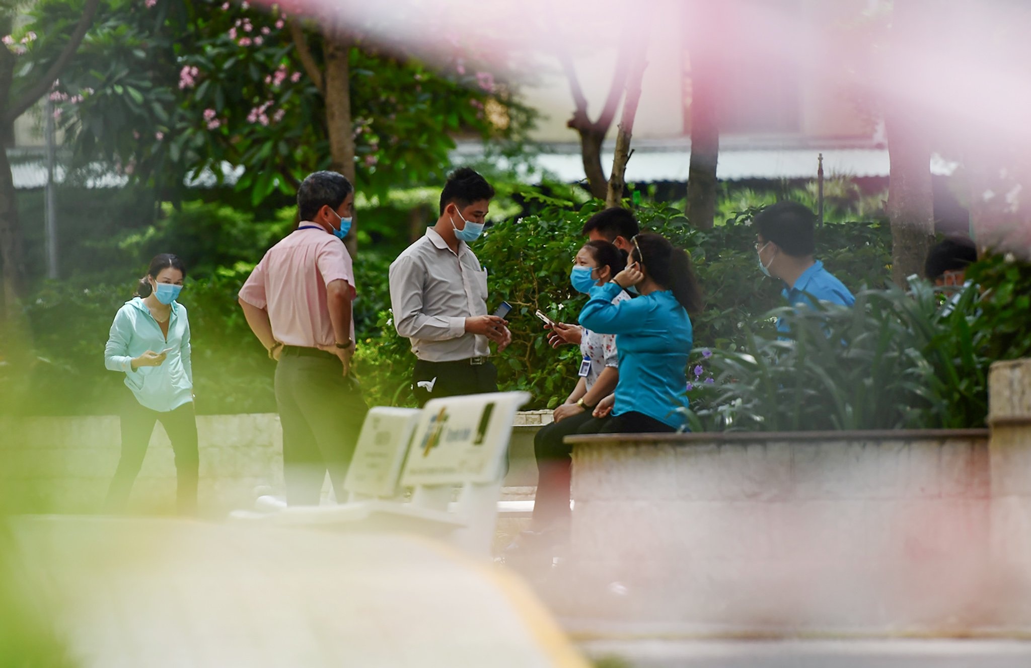 Phong toa chung cu Sunview Town anh 4