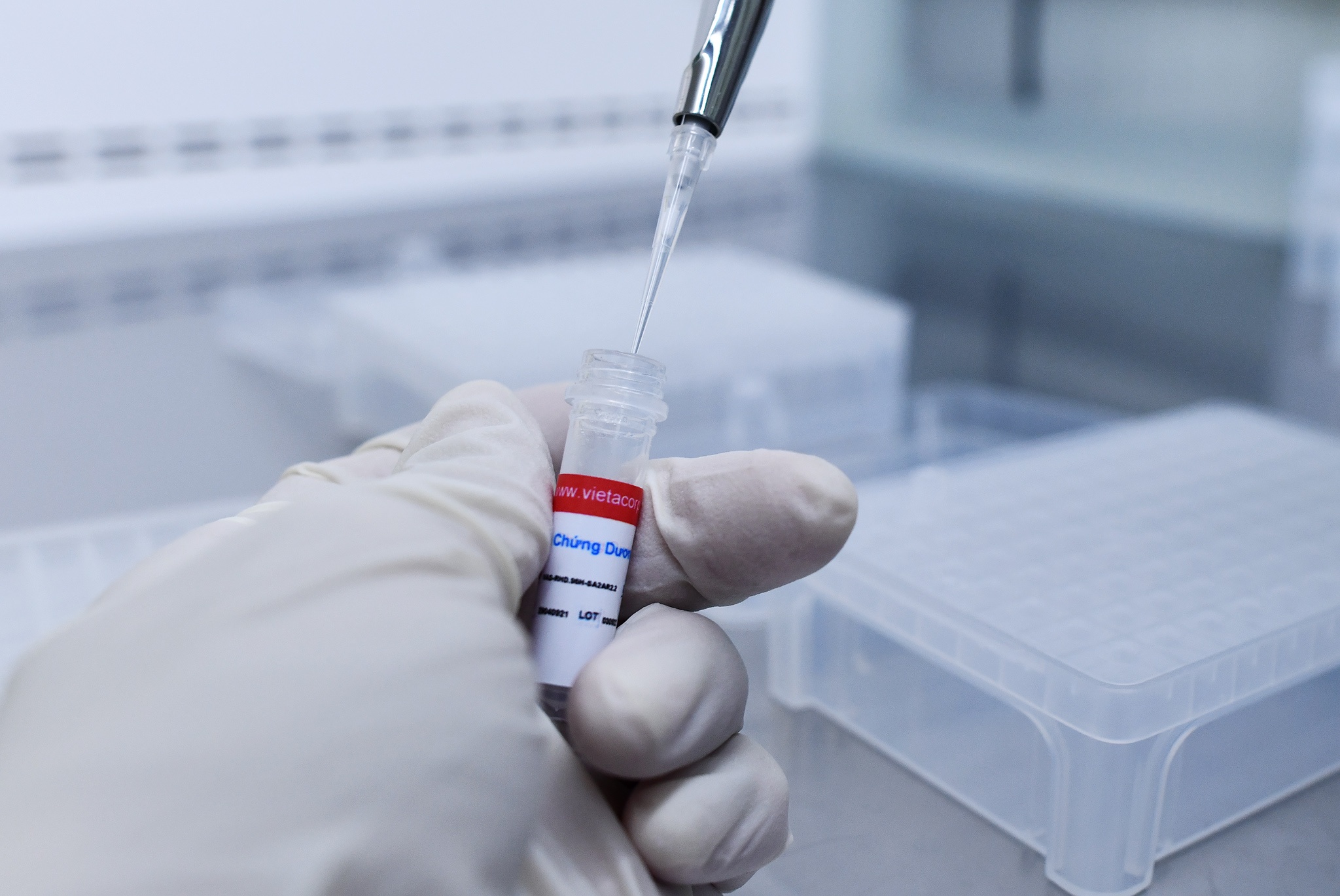 Test PCR tu dong anh 2