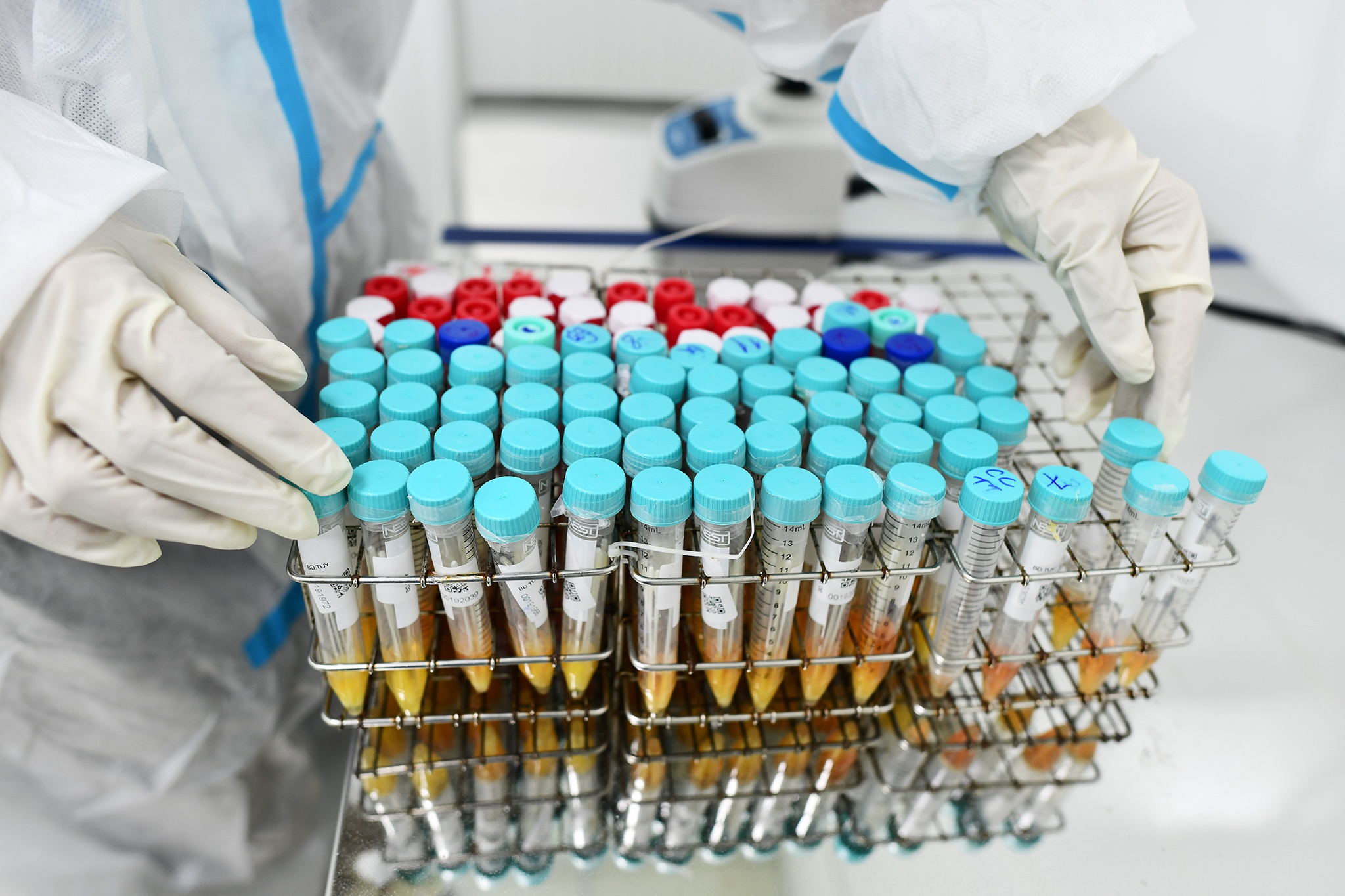 Test PCR tu dong anh 6