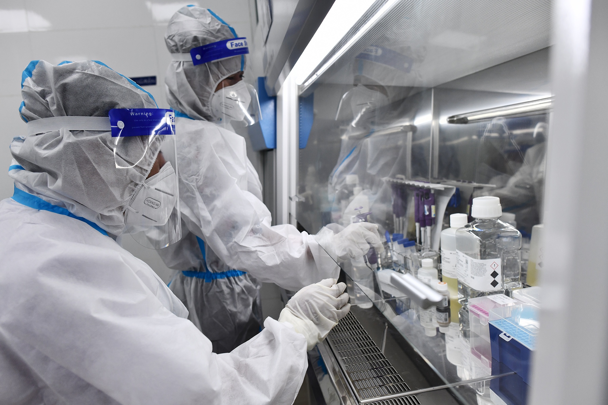 Test PCR tu dong anh 3