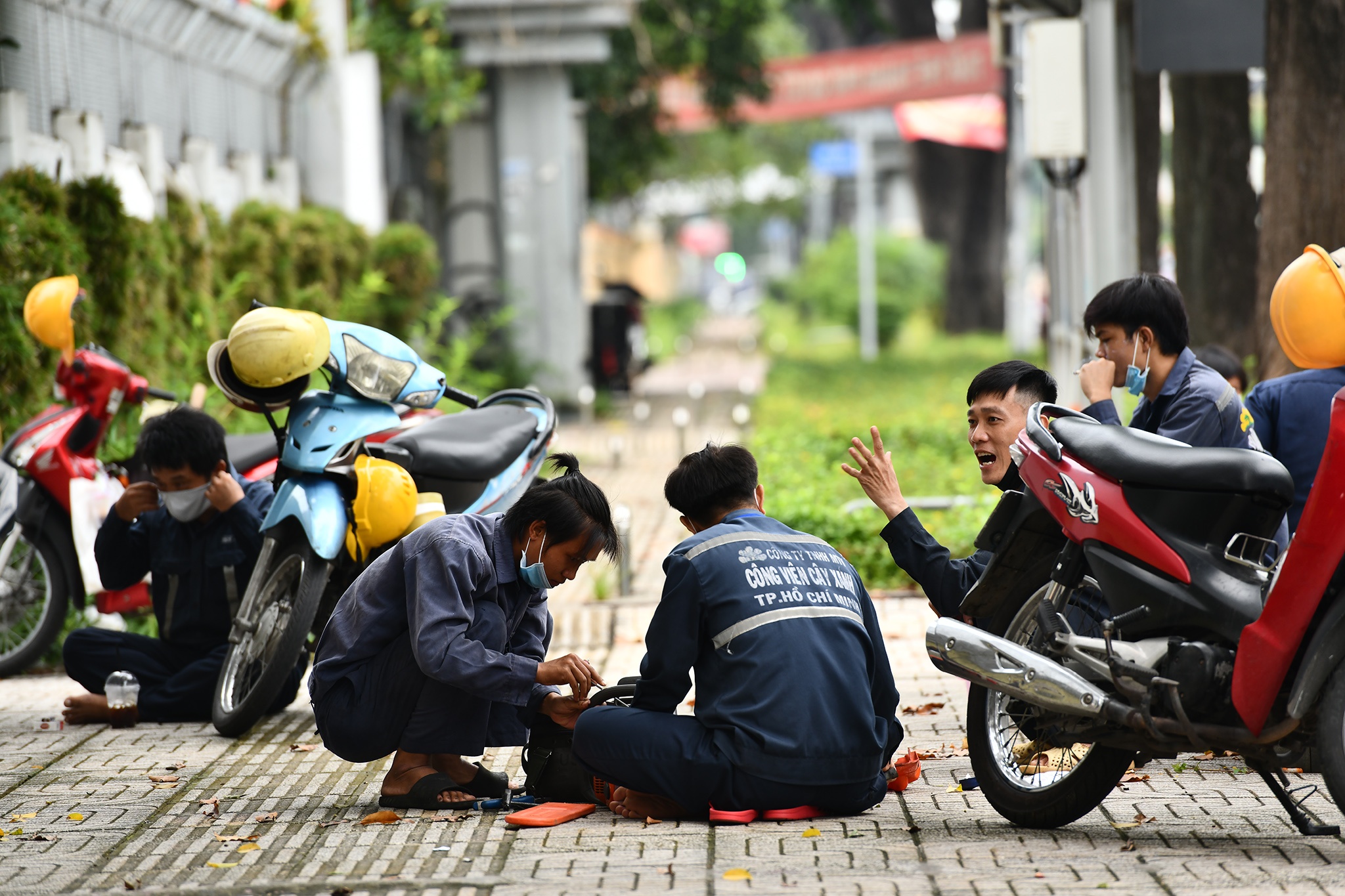 TP.HCM tro lai binh thuong moi anh 5