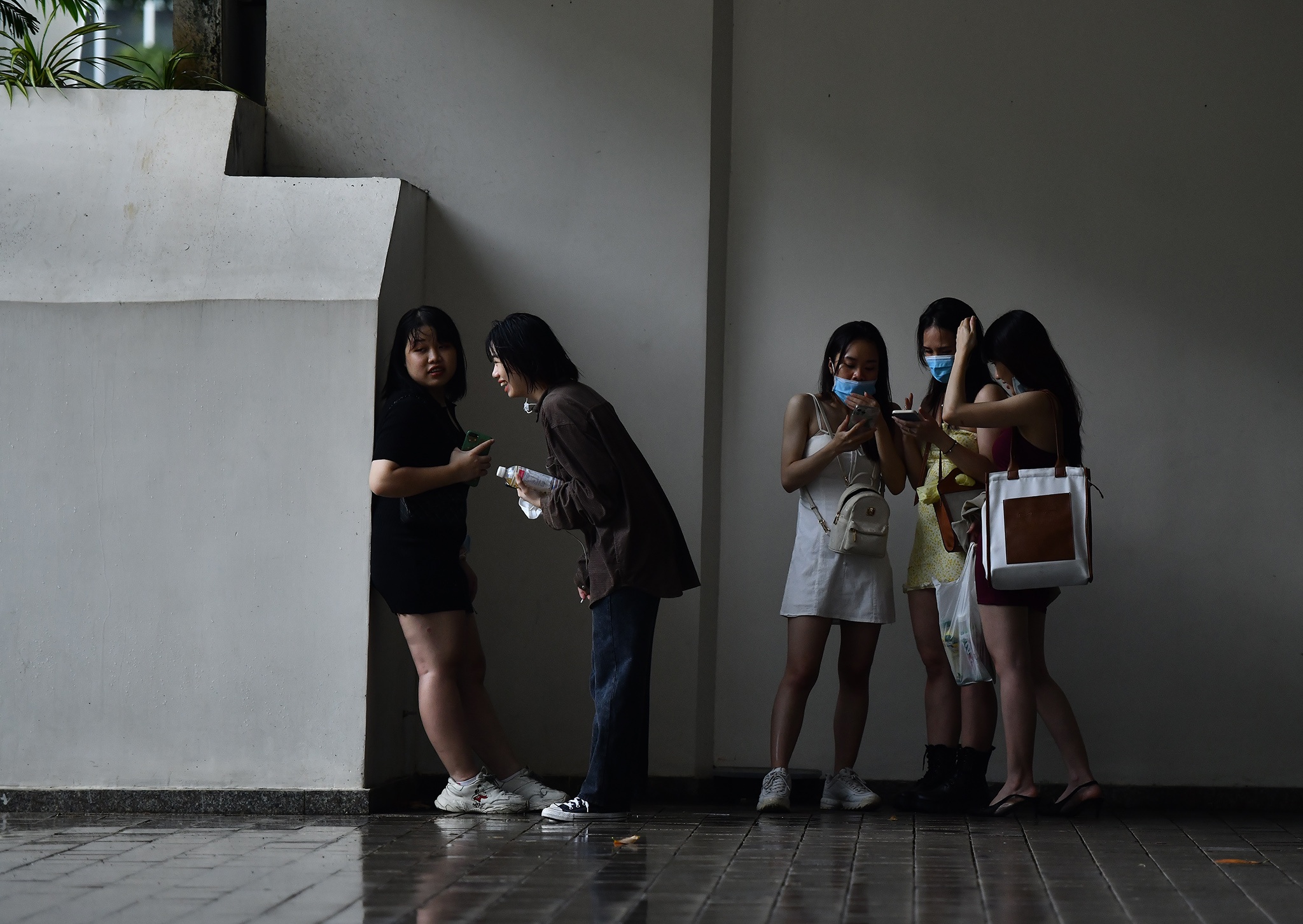 Cong vien Sala hut khach anh 7